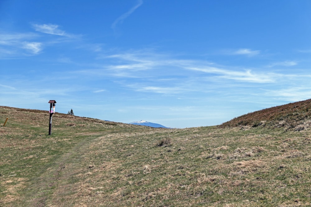 person standing on green grass field under blue sky during daytime