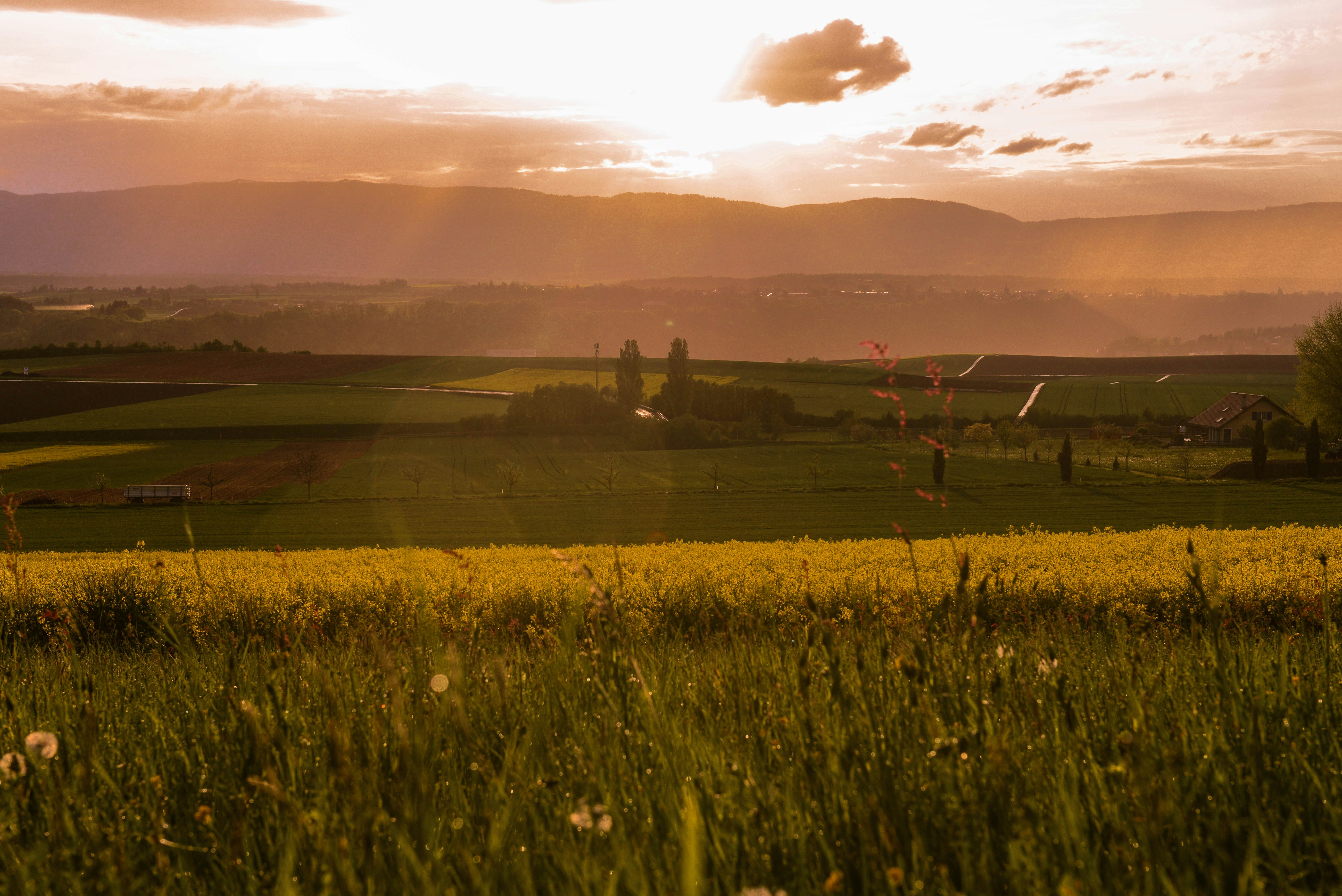 Photo by cvanderweijst