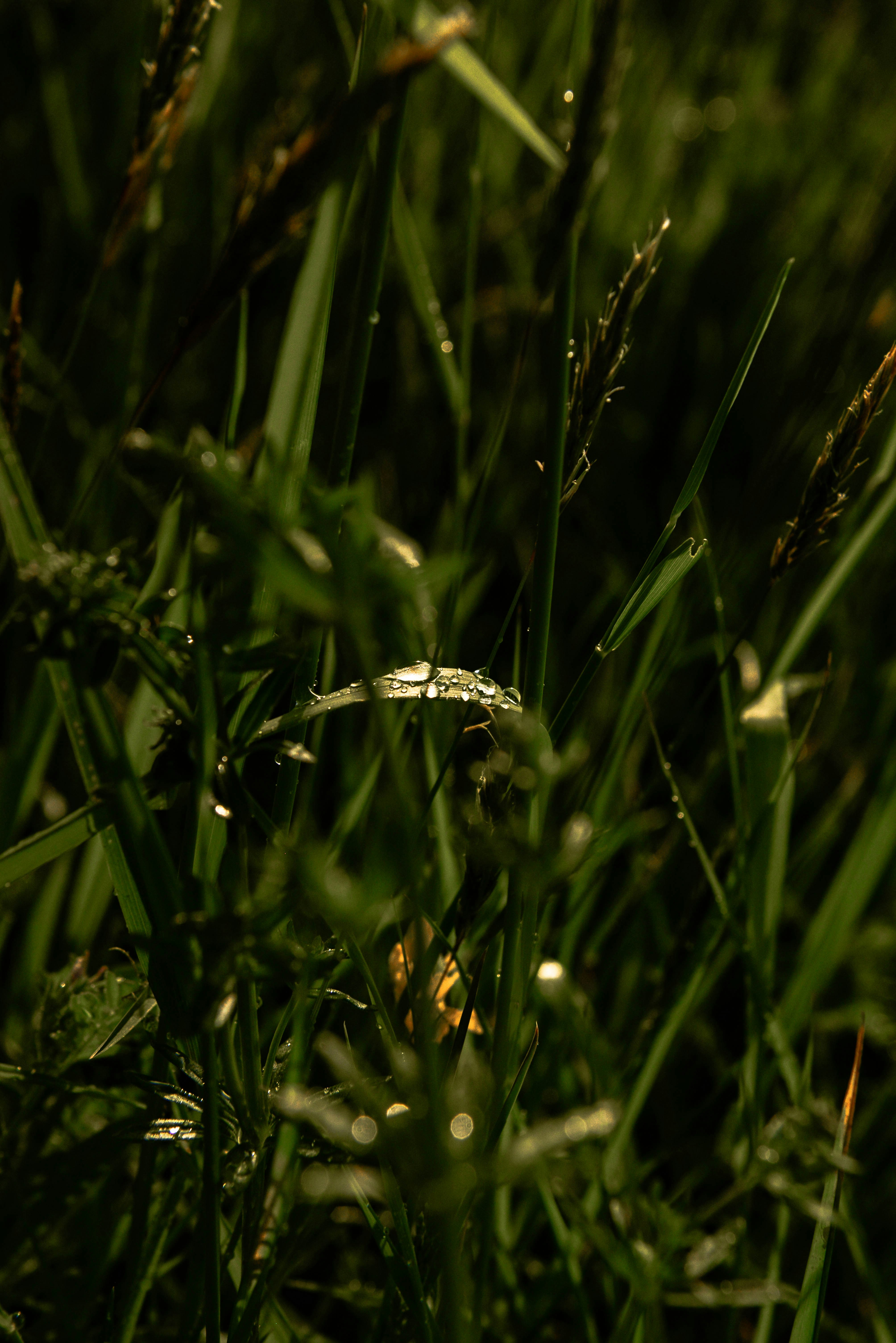 Photo by cvanderweijst