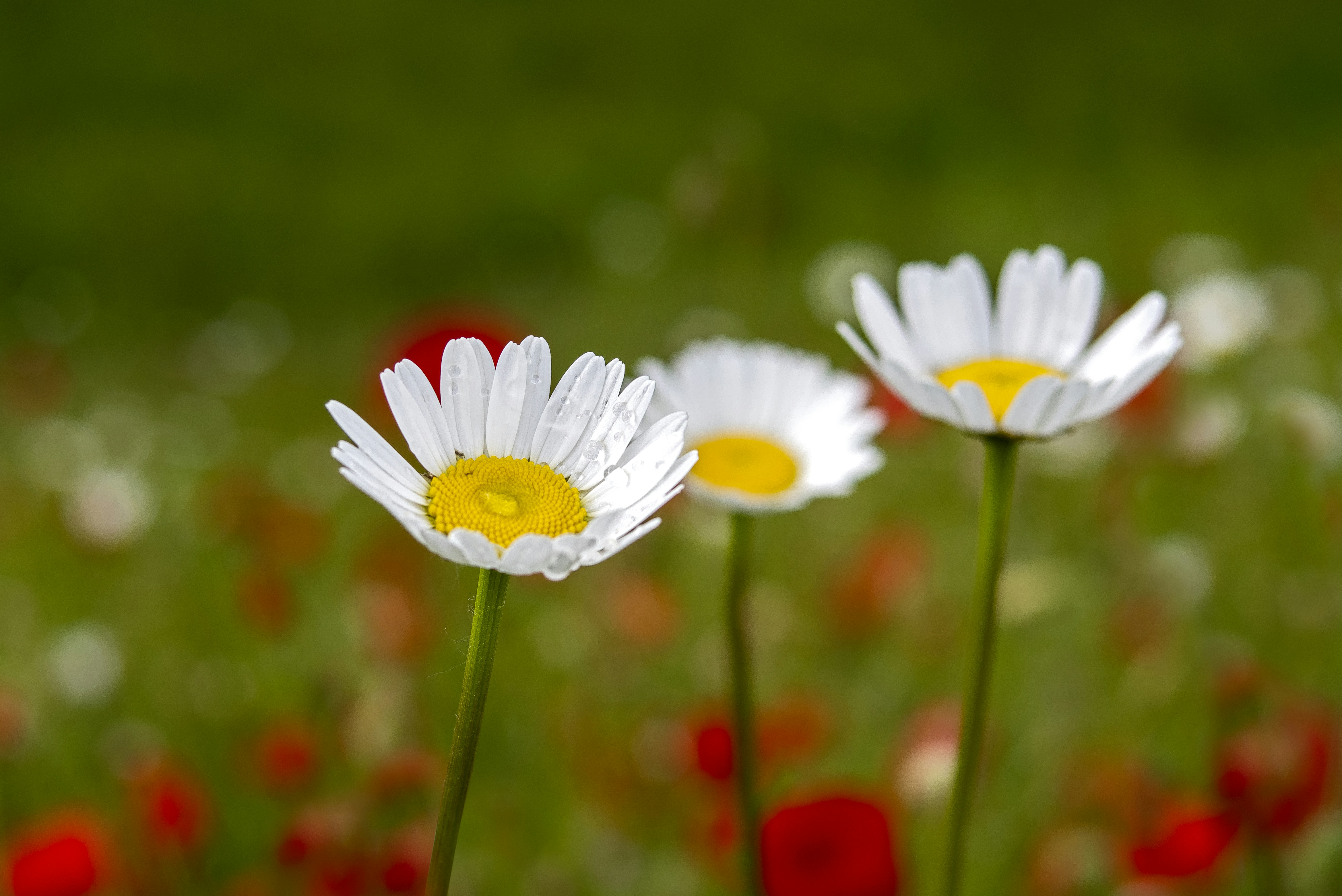 Photo by switch_dtp_fotografie