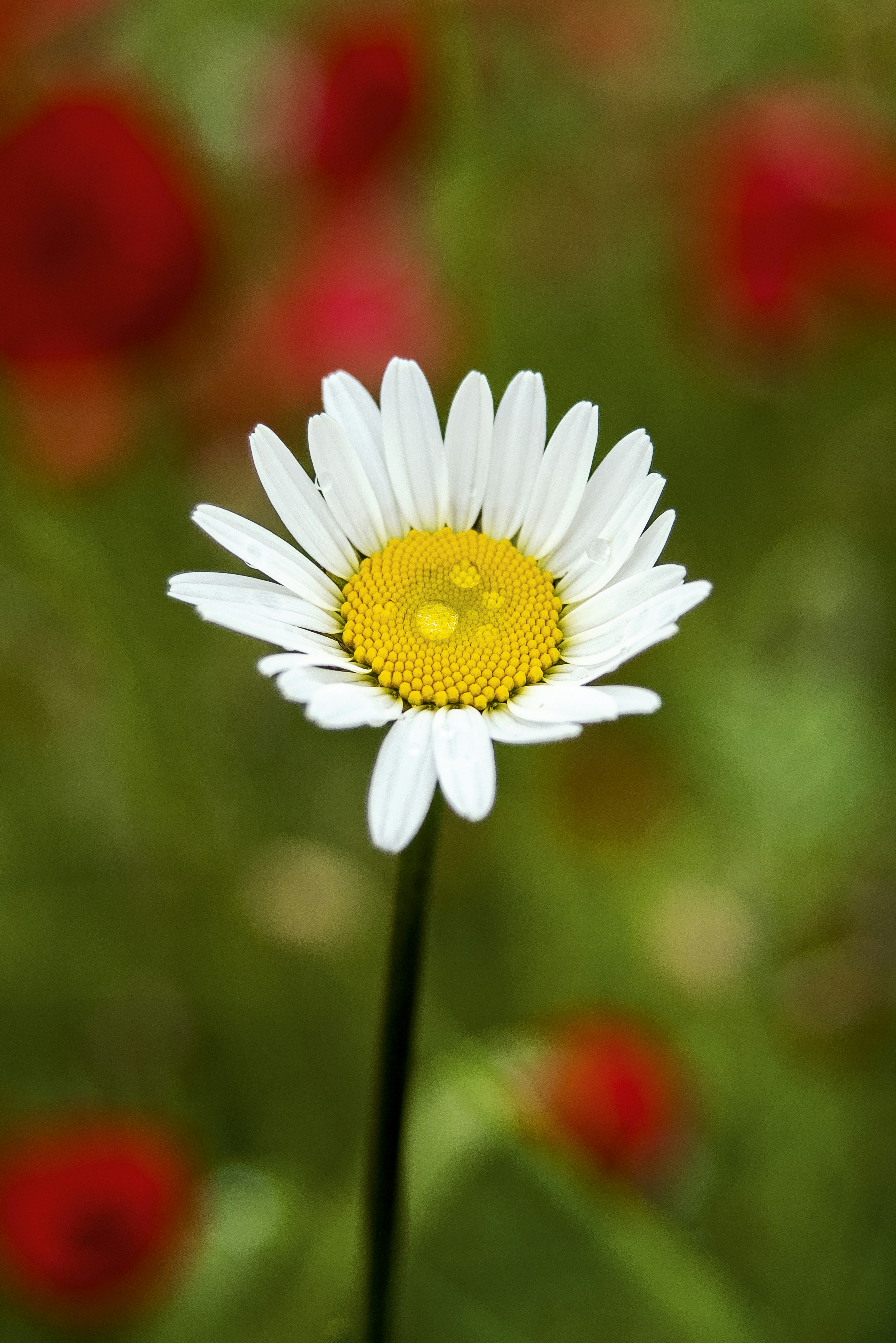 Photo by switch_dtp_fotografie