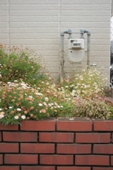 A gas meter is mounted on an exterior brick wall surrounded by a garden with various small flowers. The scene includes pink, white, and yellow flowers growing in lush clusters against a backdrop of pale bricks.