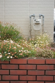 A gas meter is mounted on an exterior brick wall surrounded by a garden with various small flowers. The scene includes pink, white, and yellow flowers growing in lush clusters against a backdrop of pale bricks.
