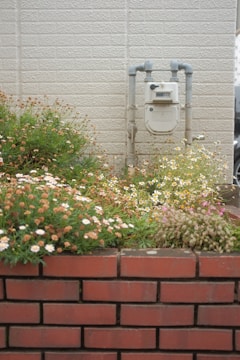 A gas meter is mounted on an exterior brick wall surrounded by a garden with various small flowers. The scene includes pink, white, and yellow flowers growing in lush clusters against a backdrop of pale bricks.