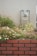 A gas meter is mounted on an exterior brick wall surrounded by a garden with various small flowers. The scene includes pink, white, and yellow flowers growing in lush clusters against a backdrop of pale bricks.