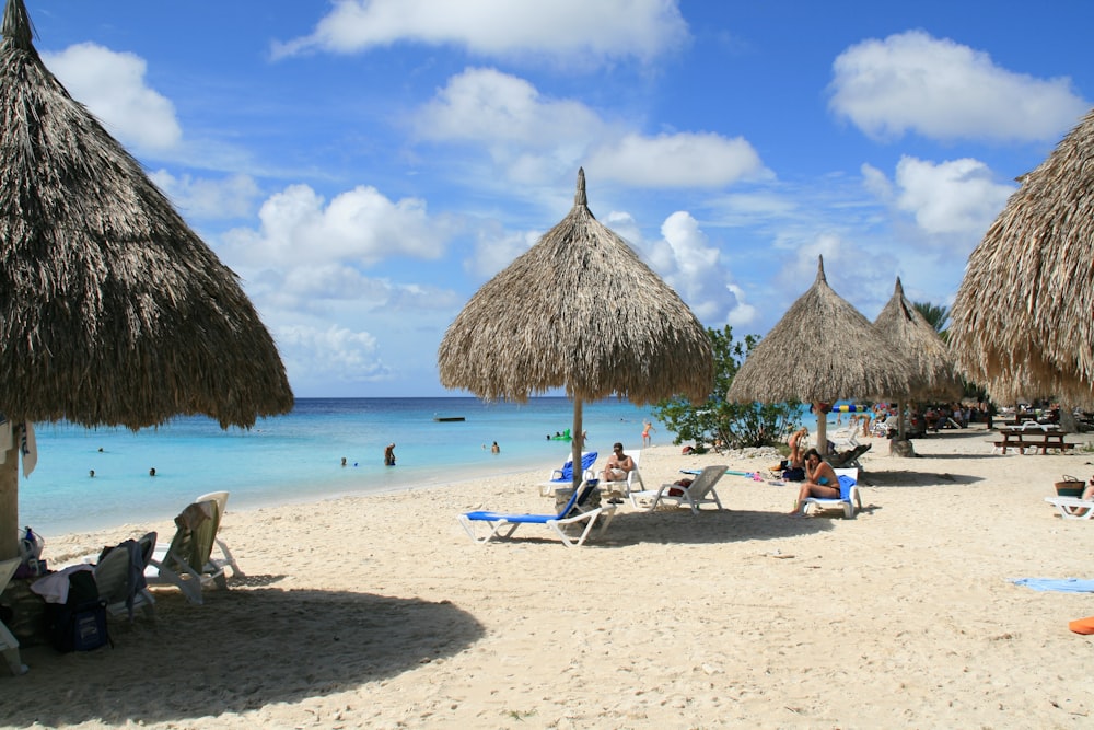 people on beach during daytime