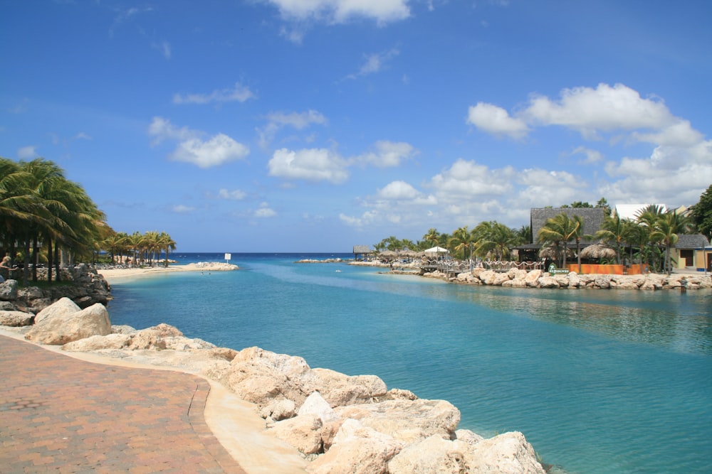 white sand beach with green trees and houses under blue sky during daytime