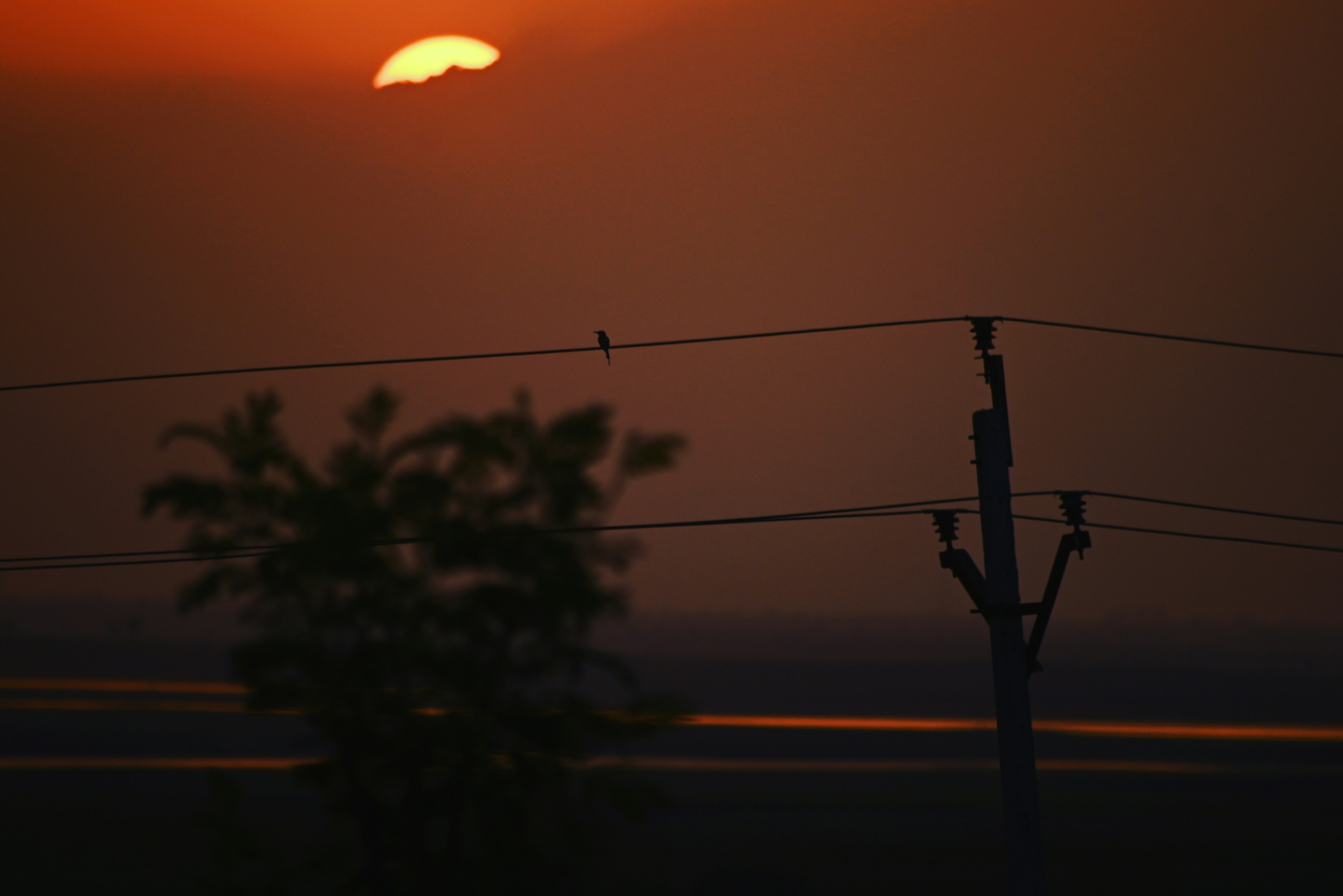 Photo by rrajputphotography