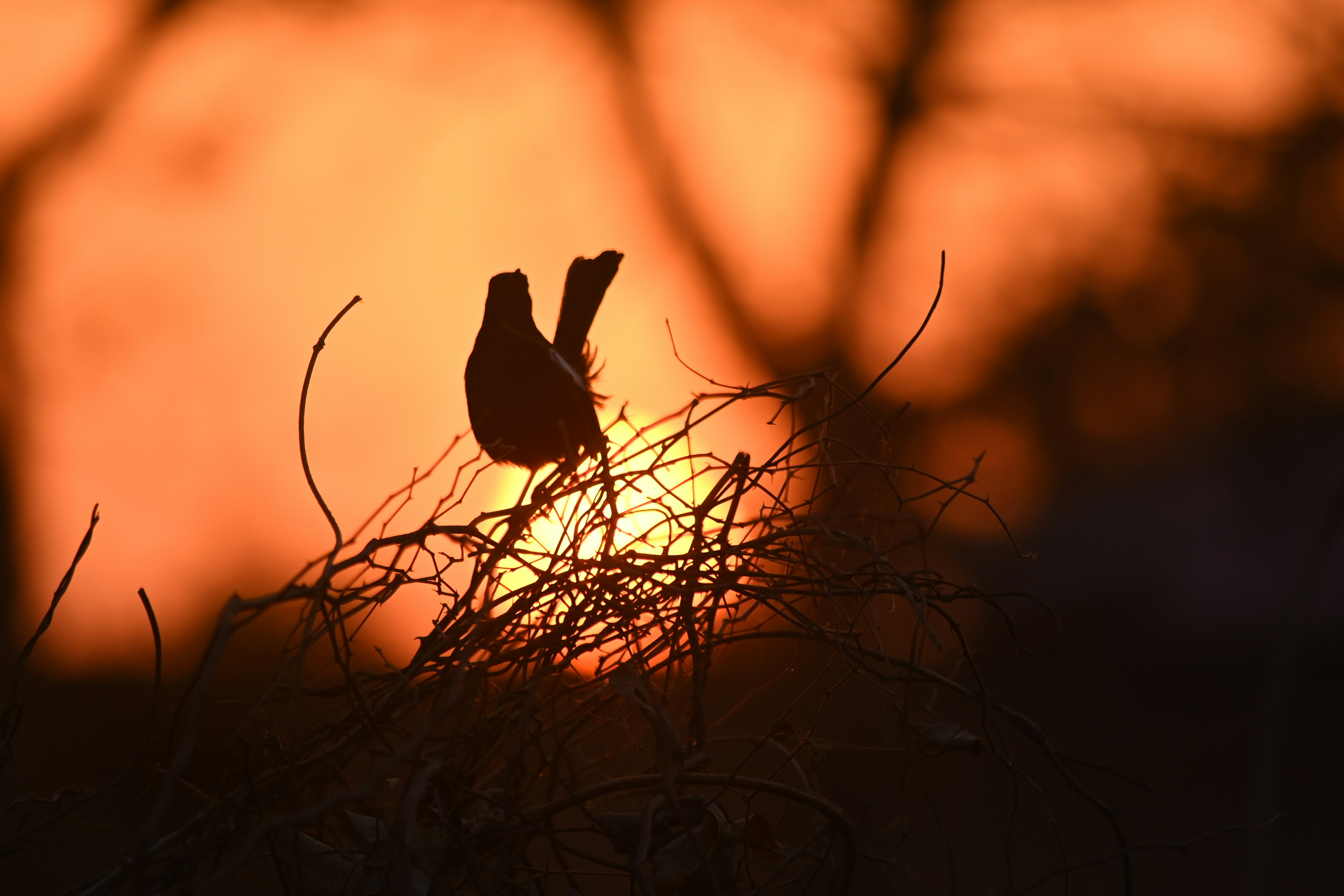 Photo by rrajputphotography