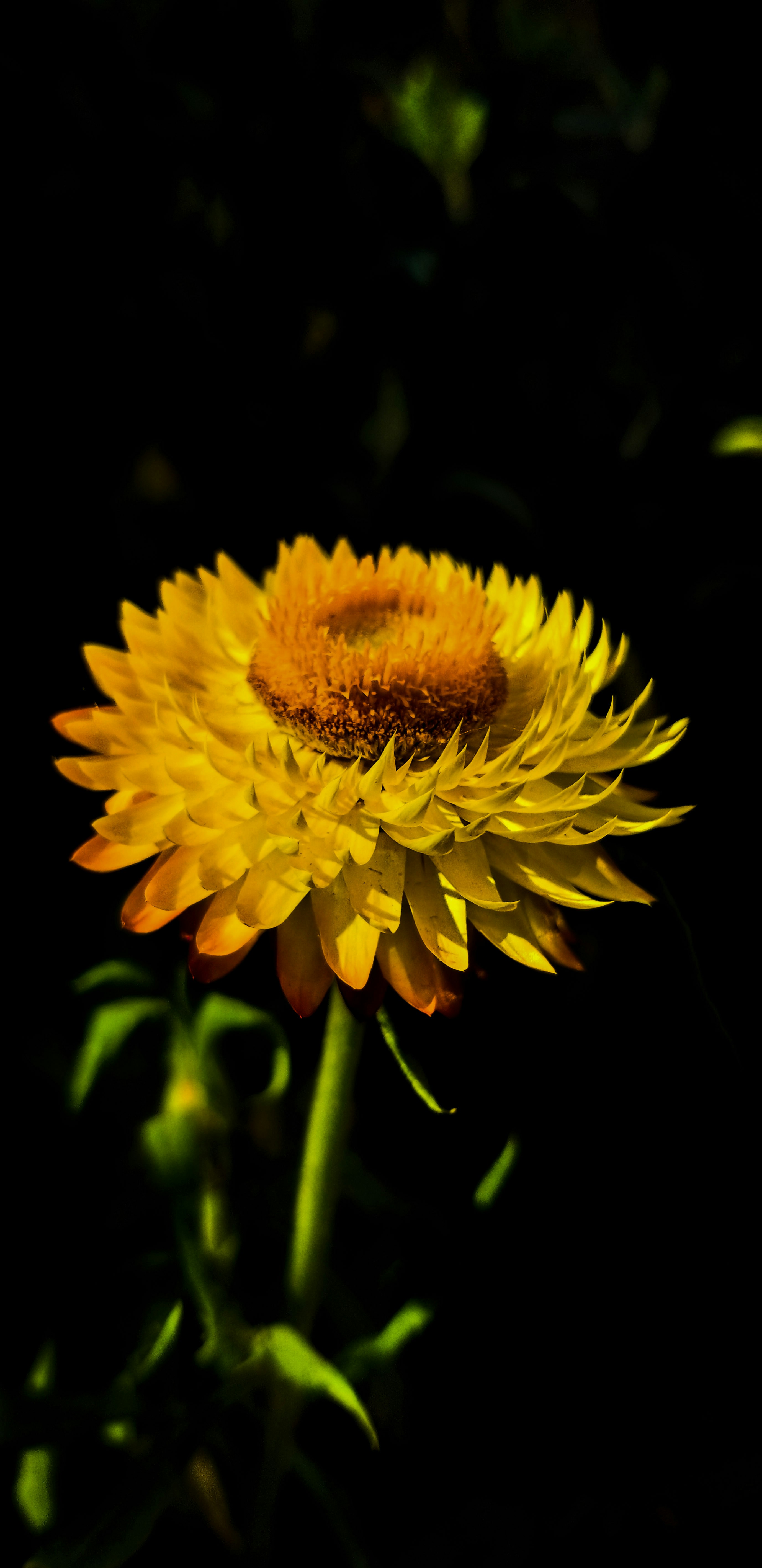 Photo by ad_photography_world