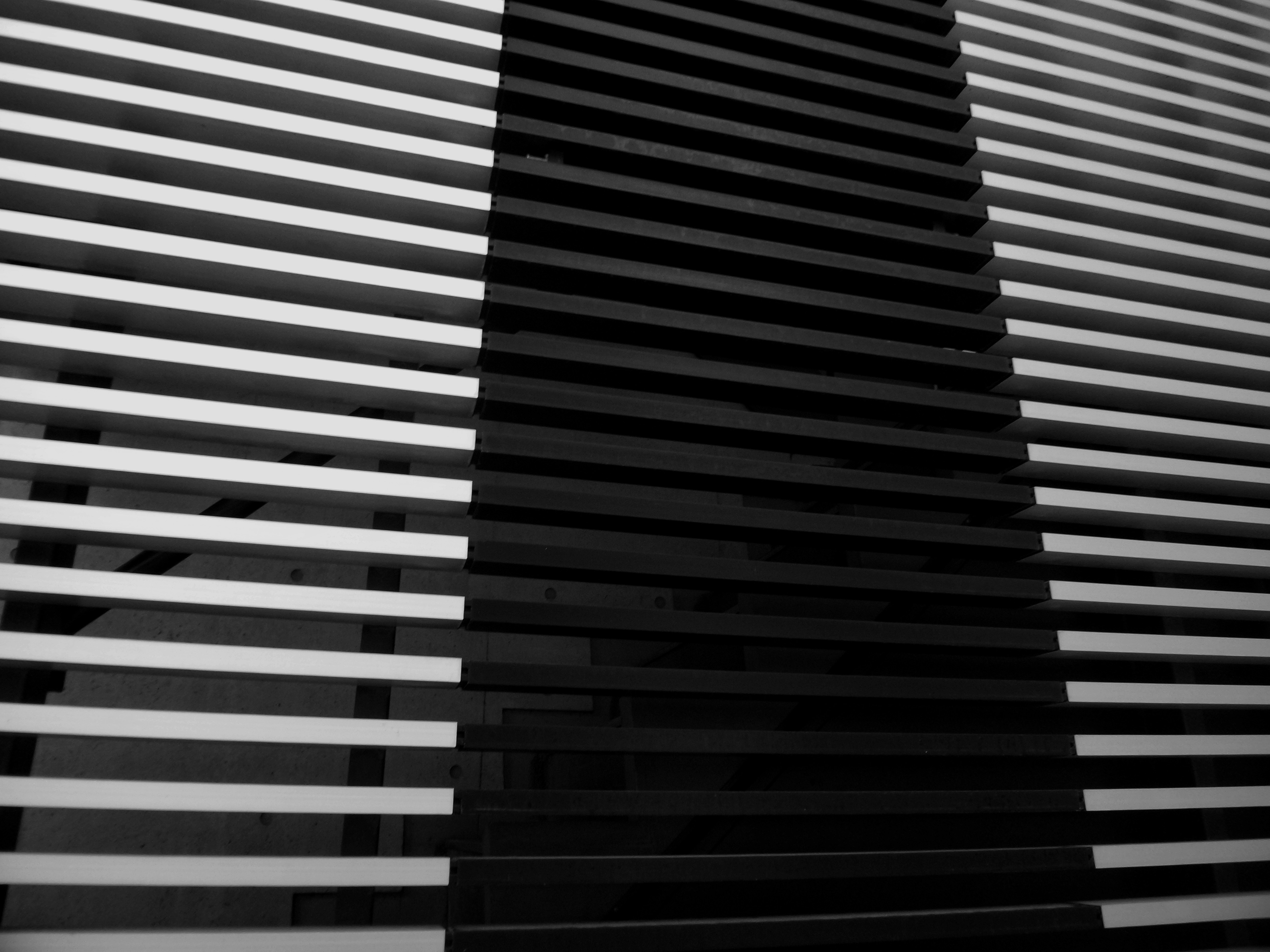 Photo by possessedphotography