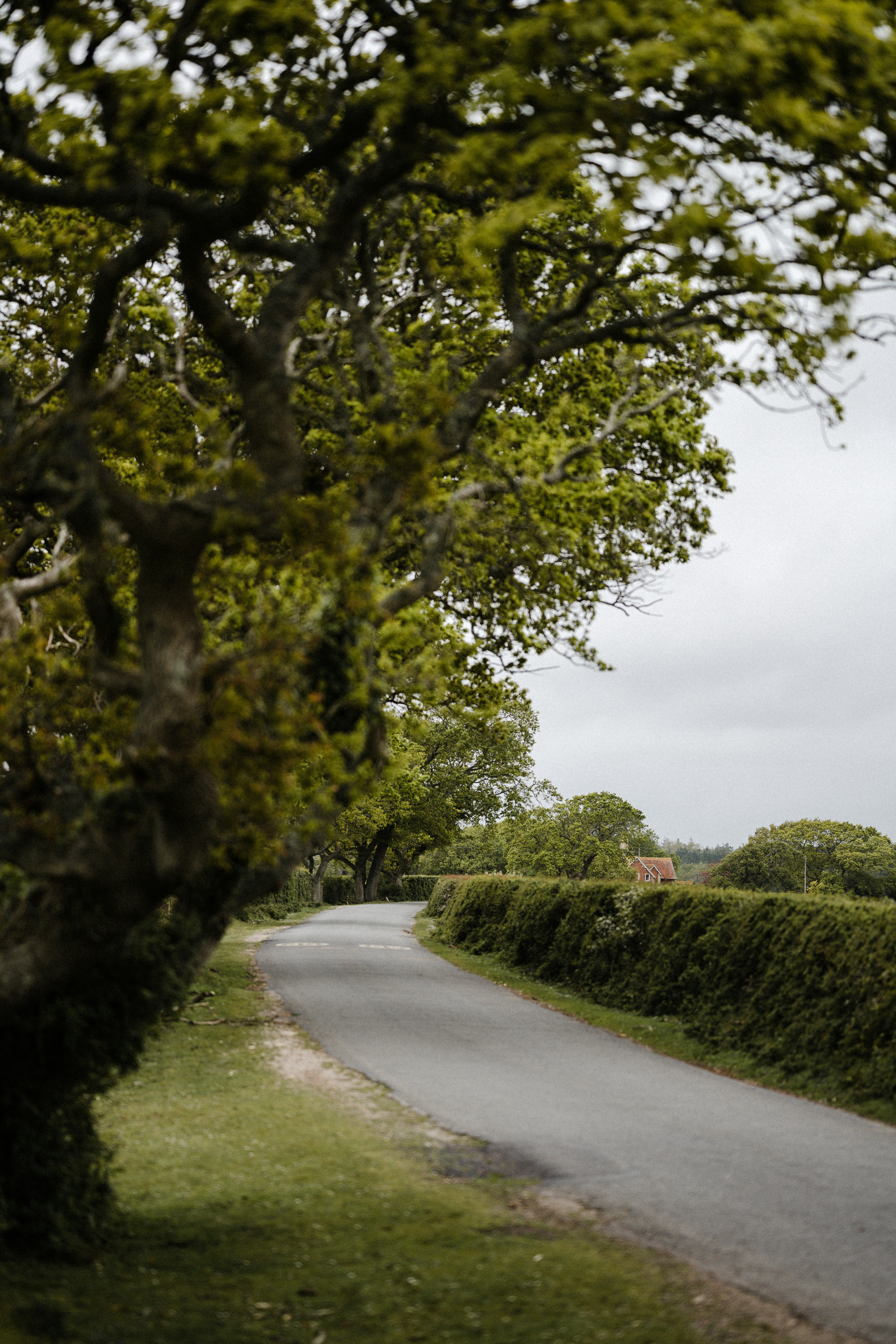 Photo by anniespratt