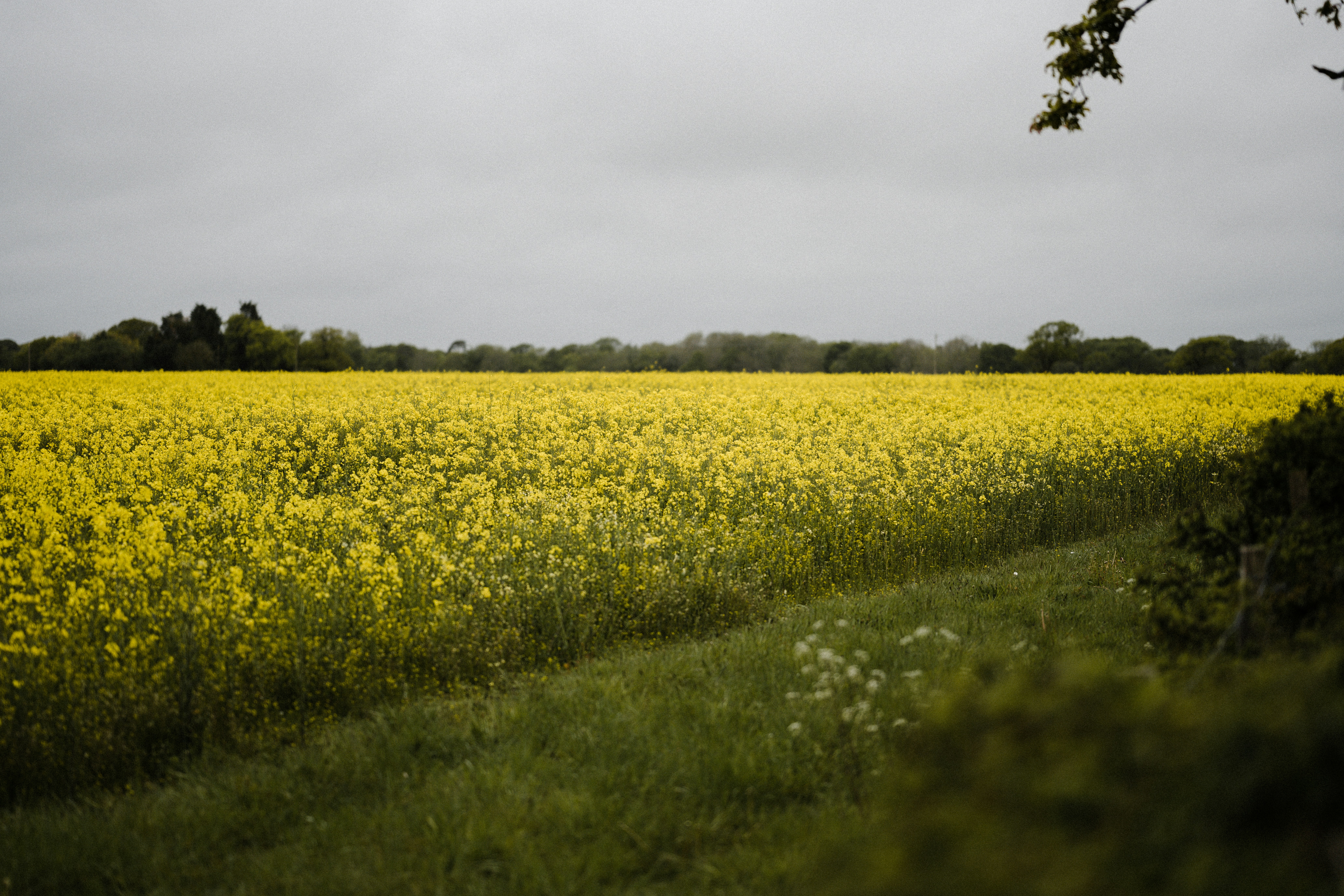 Photo by anniespratt