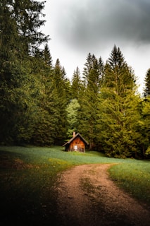 Choosing Eco-Friendly Accommodations