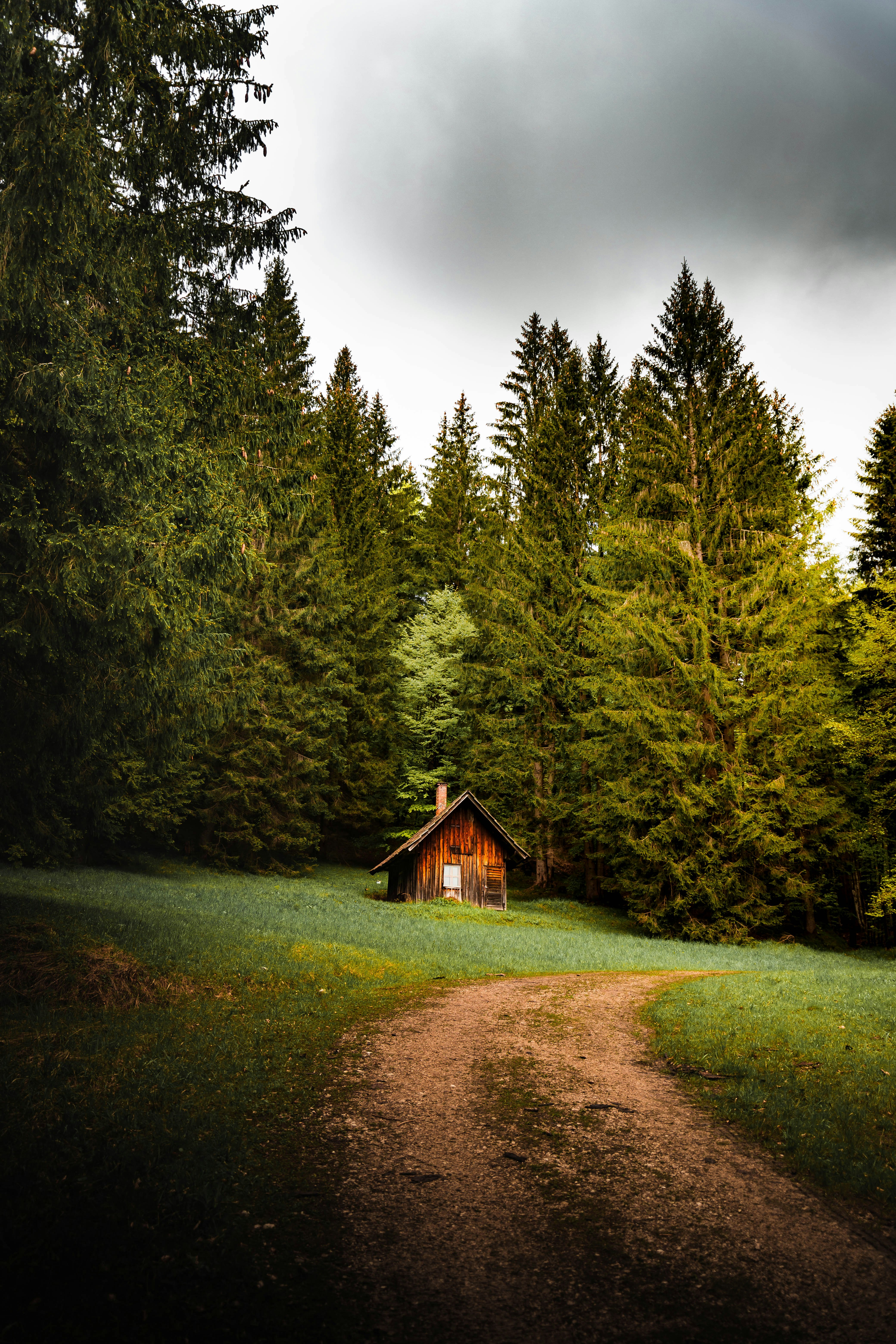 brown wooden house in the middle of green trees