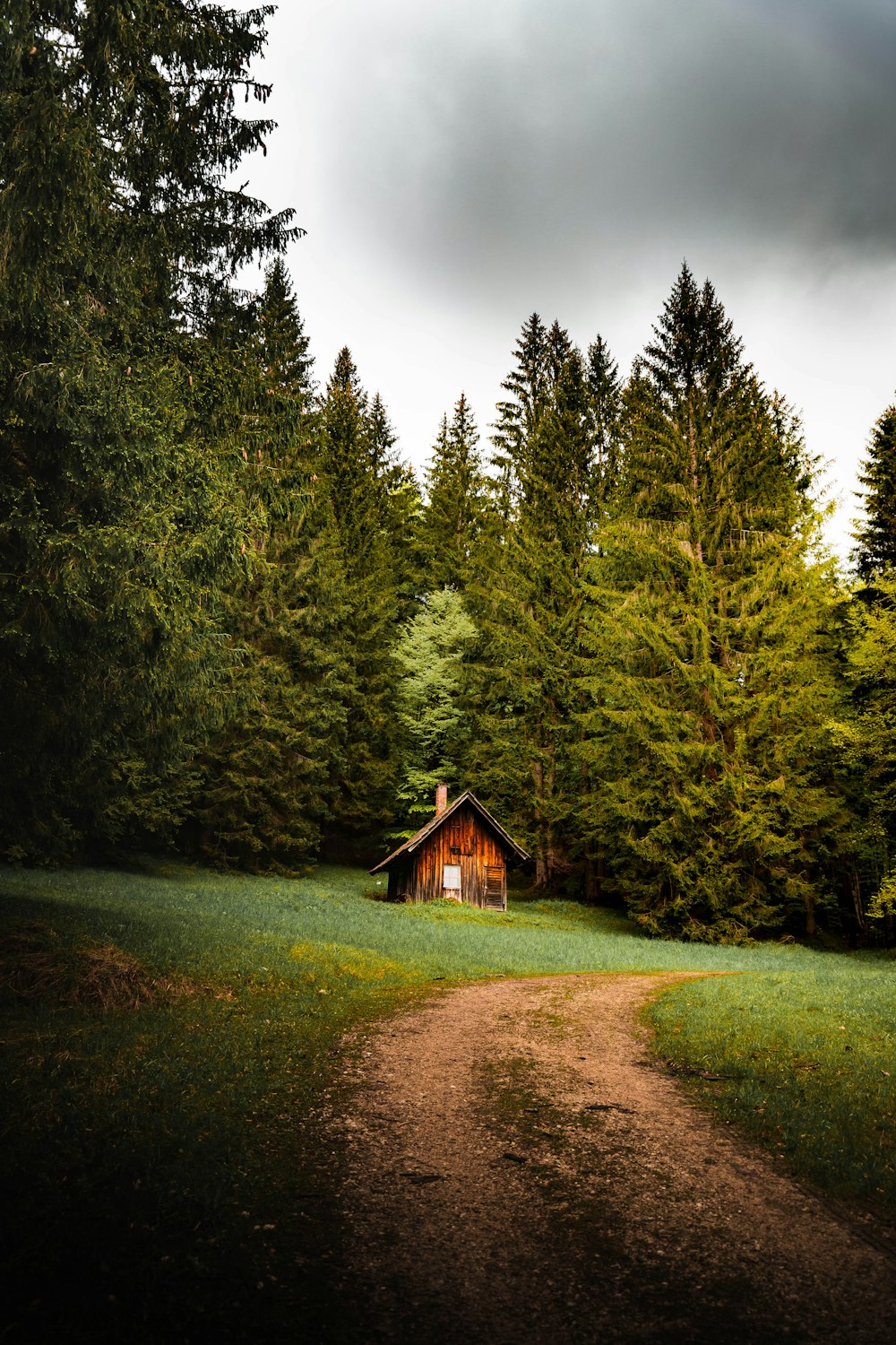 Braunes Holzhaus inmitten grüner Bäume