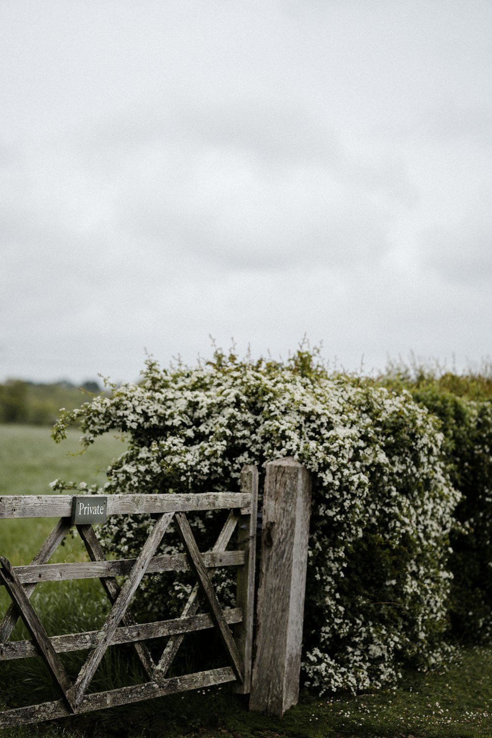 brown wooden fence near green grass field during daytime