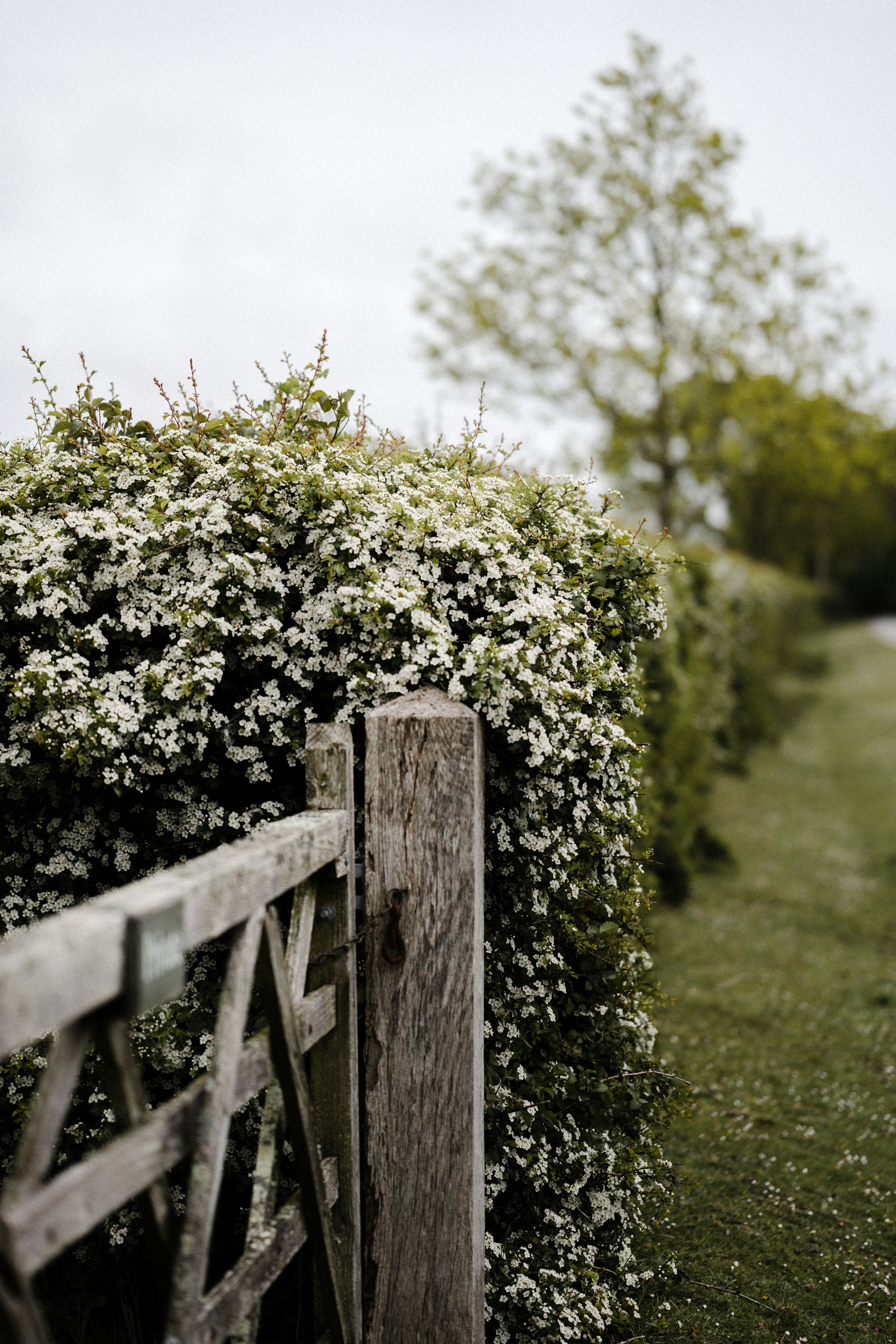 Photo by anniespratt