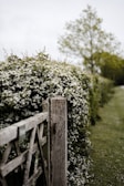 A rustic farm gate opening to a pathway lined with wildflowers and trees.