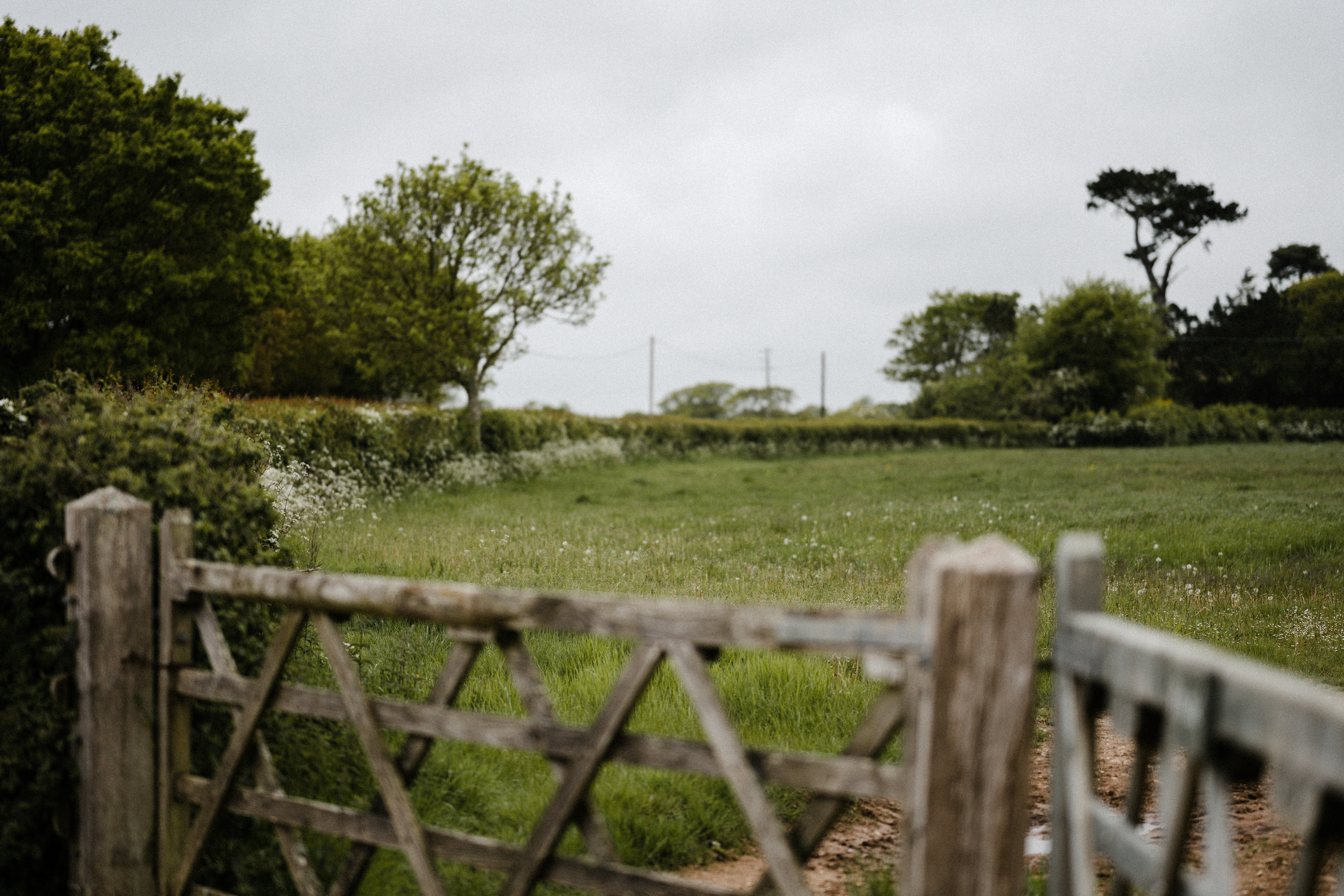 Photo by anniespratt