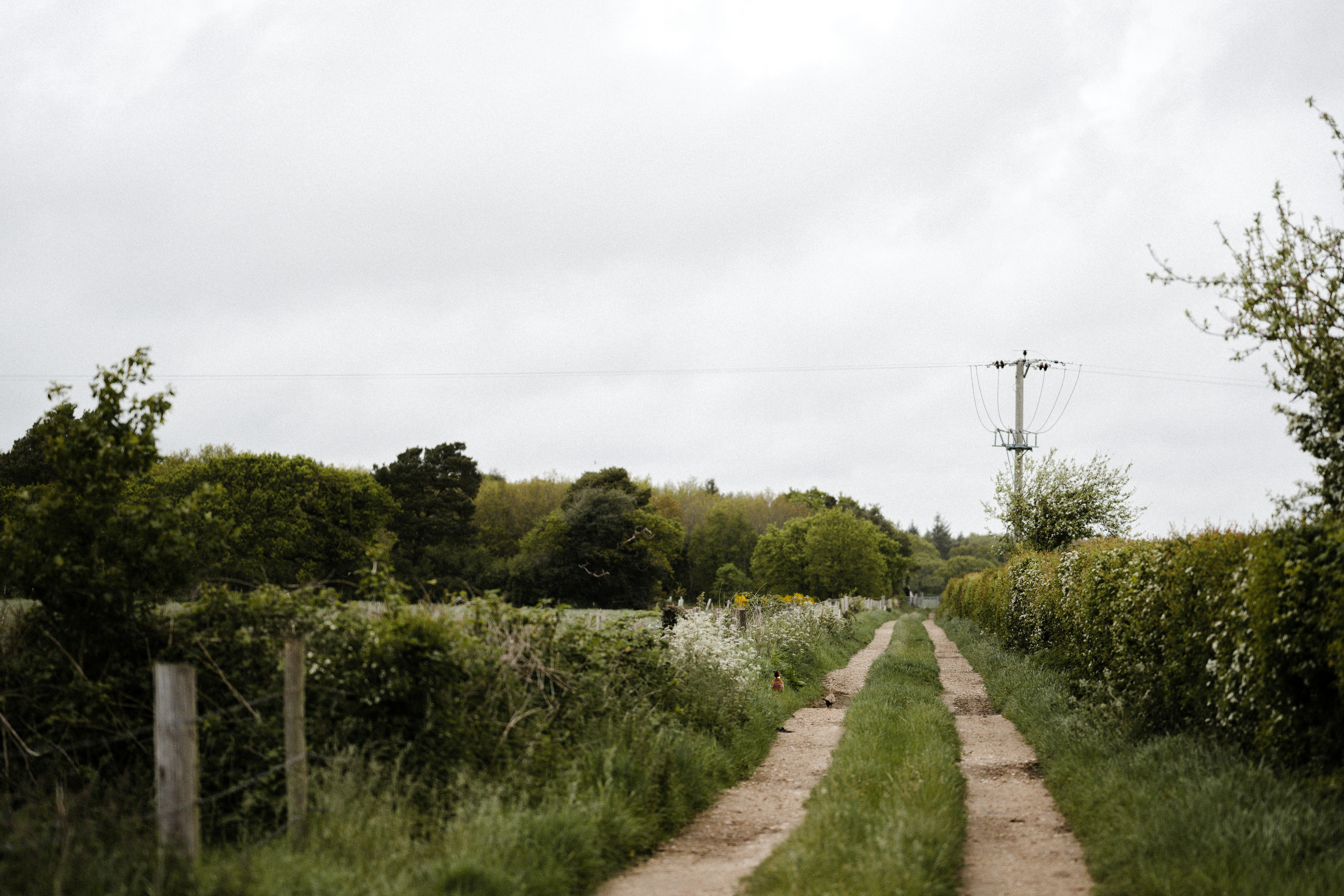 Photo by anniespratt