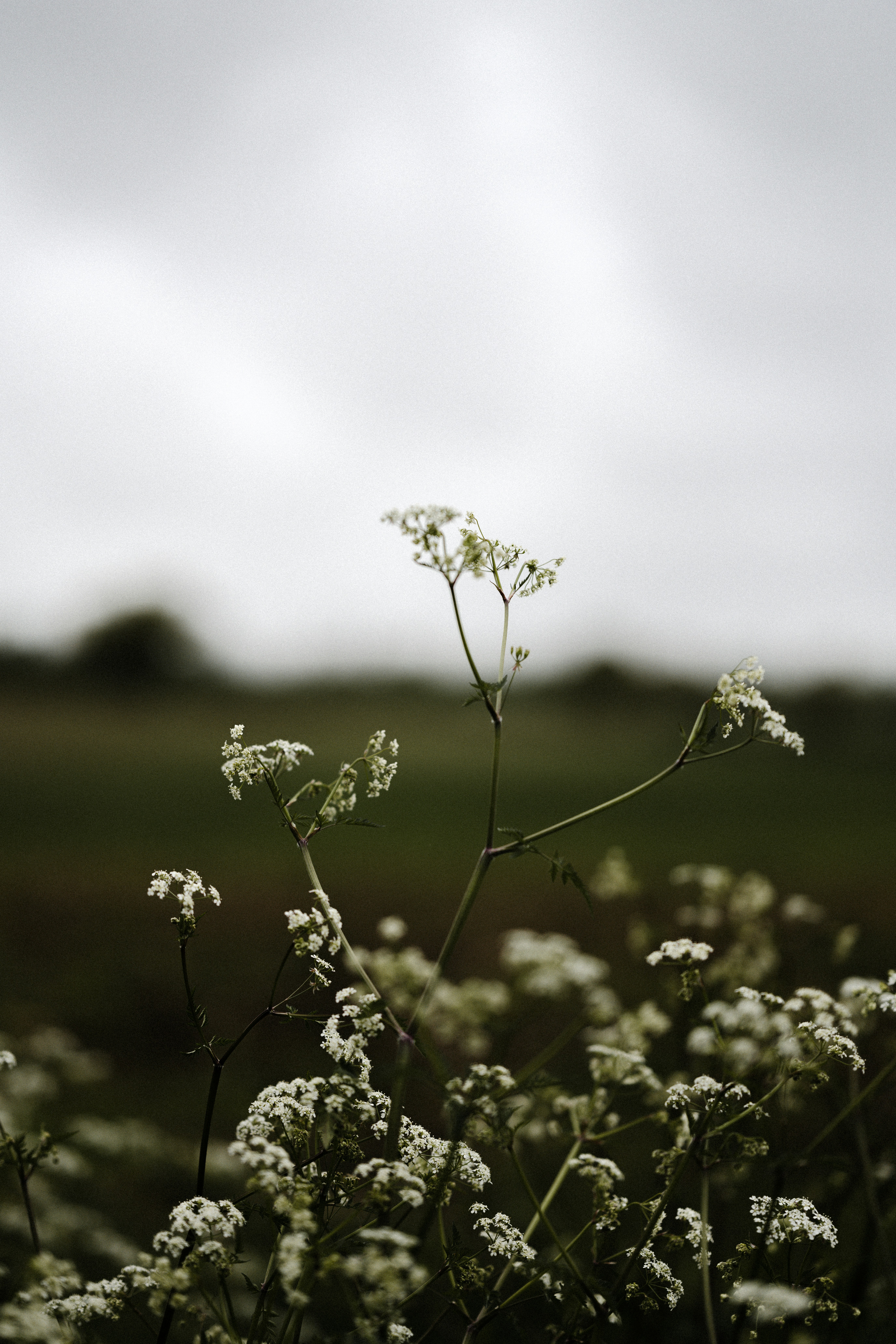 Photo by anniespratt