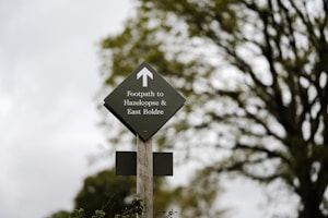 A wooden post features a directional sign with an arrow pointing upward, indicating a footpath to Hazelcopse and East Boldre. The sign is set against a blurry background of foliage and a cloudy sky.