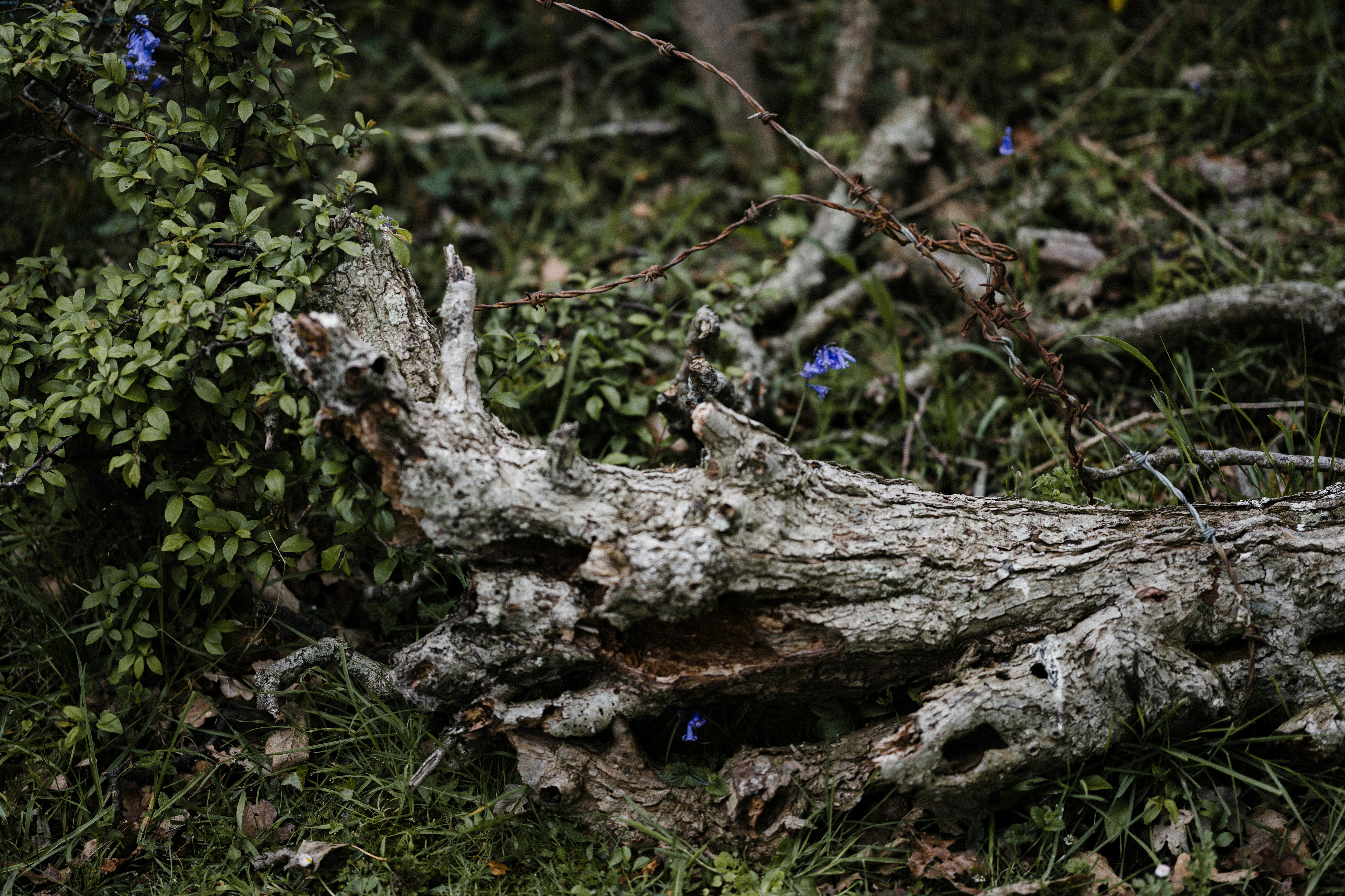 Photo by anniespratt