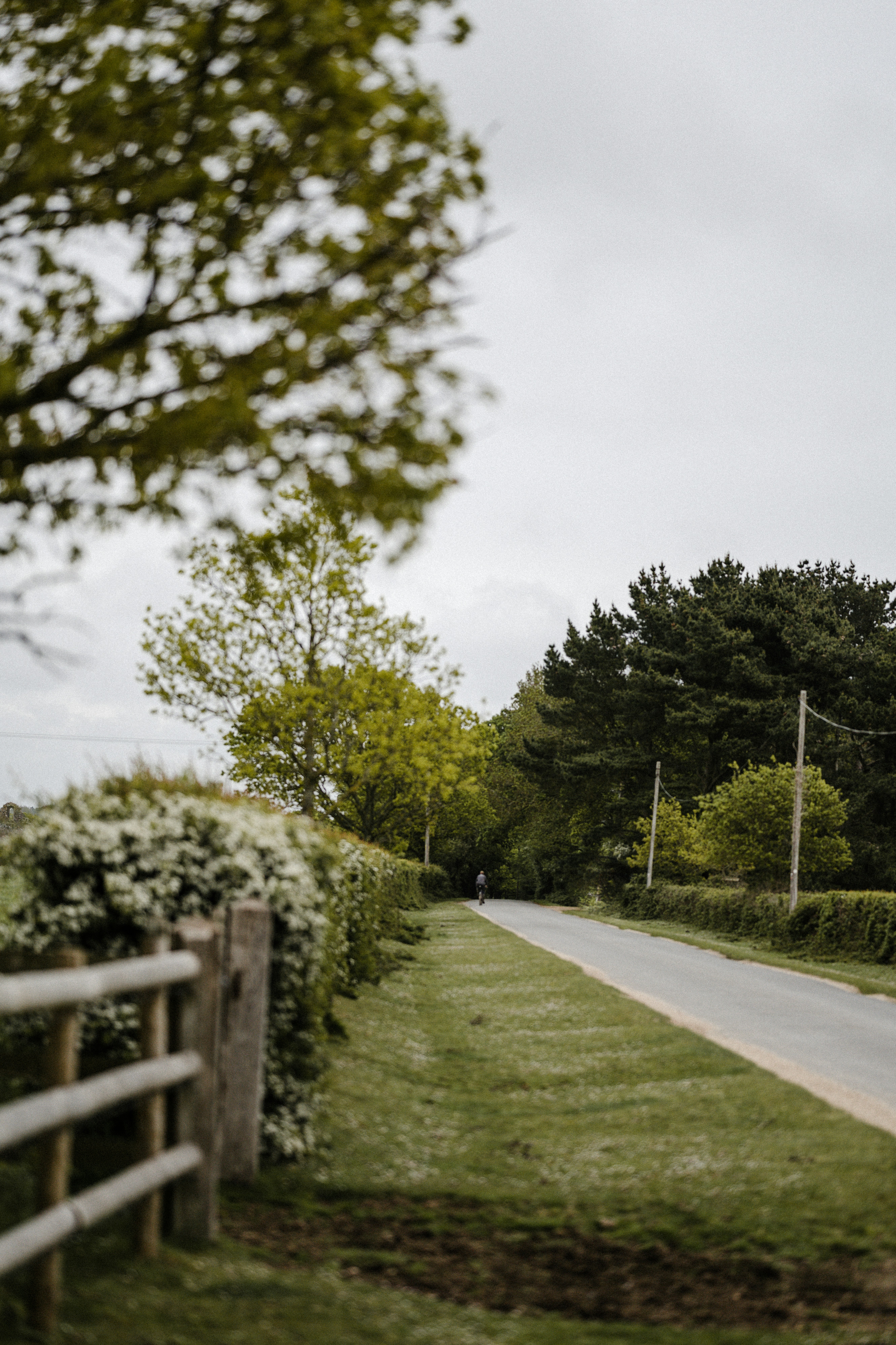 Photo by anniespratt