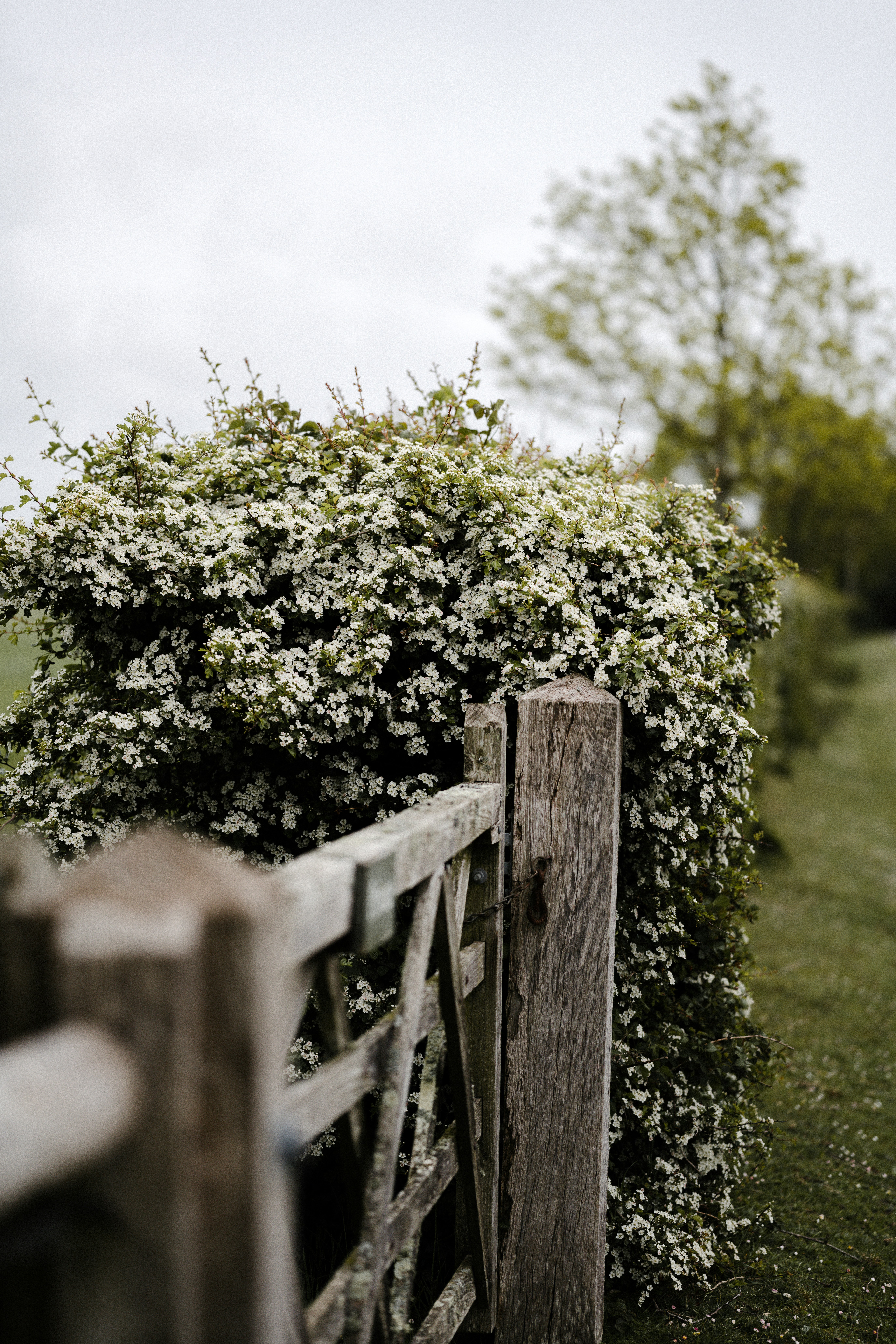 Photo by anniespratt