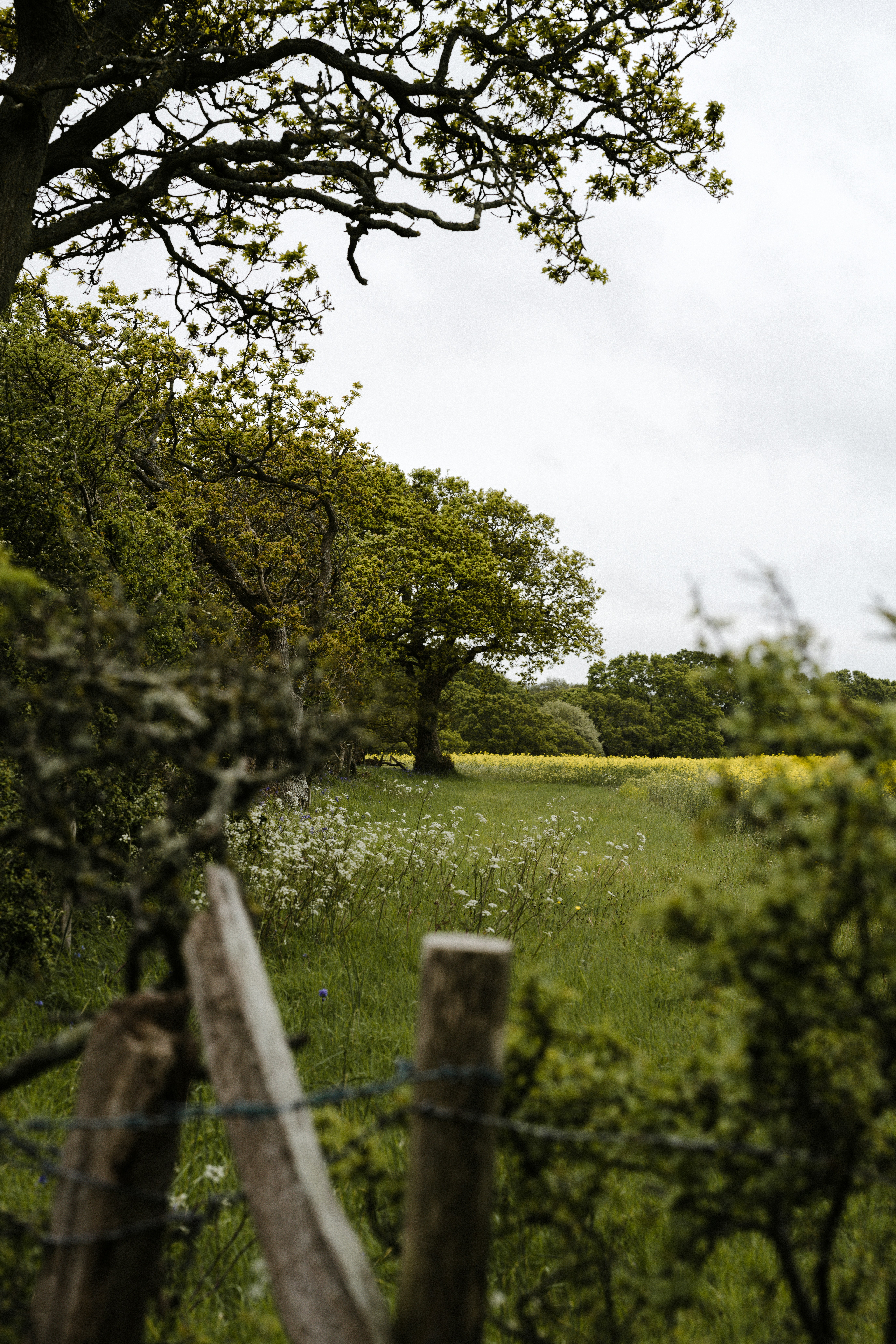 Photo by anniespratt