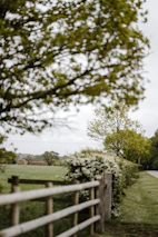 A peaceful farm landscape with rows of herbs and a rustic wooden fence.