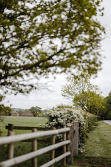 A peaceful farm landscape with rows of herbs and a rustic wooden fence.
