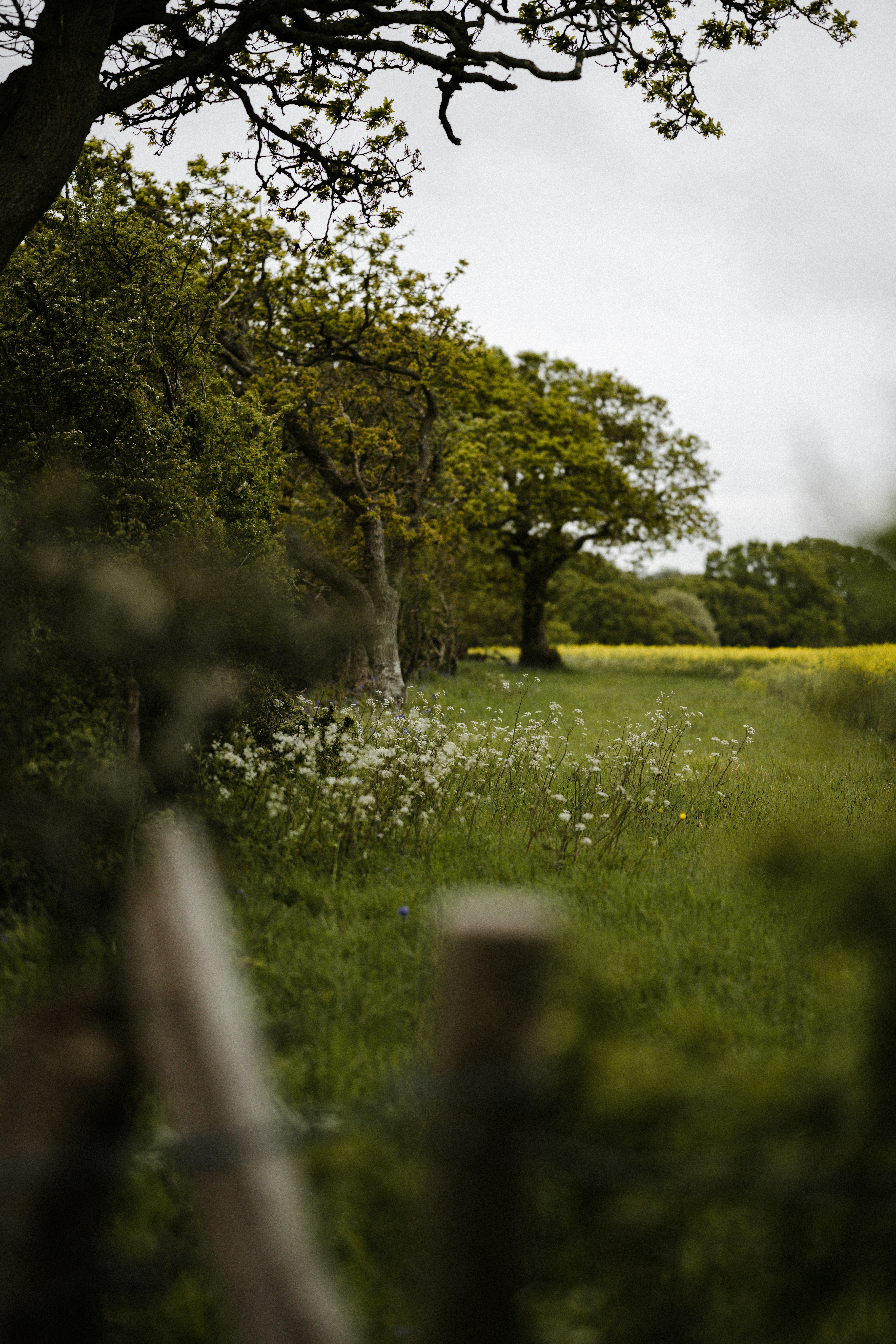 Photo by anniespratt