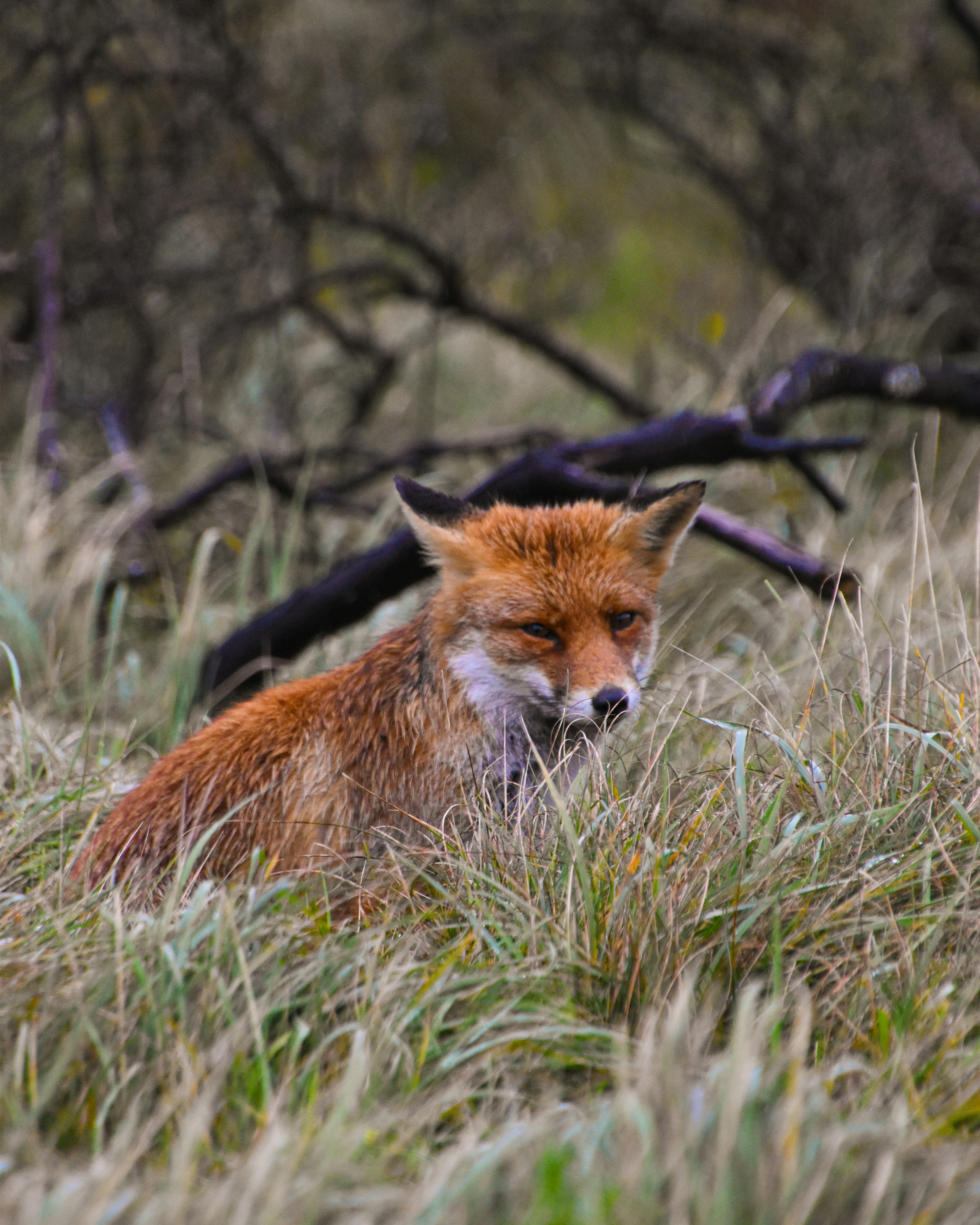 Photo by thebeautyofcapturing