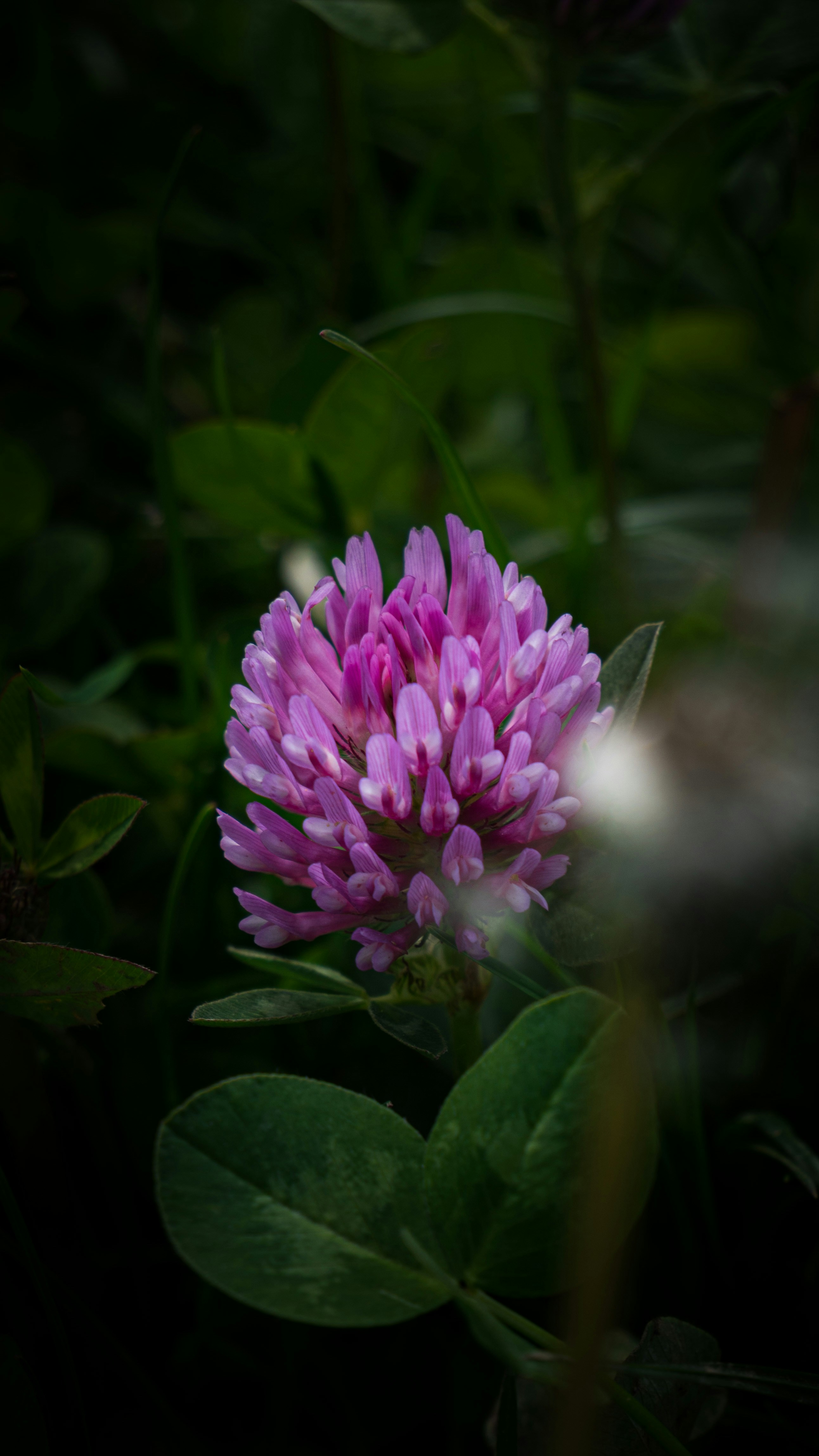 Photo by marv1n14ll