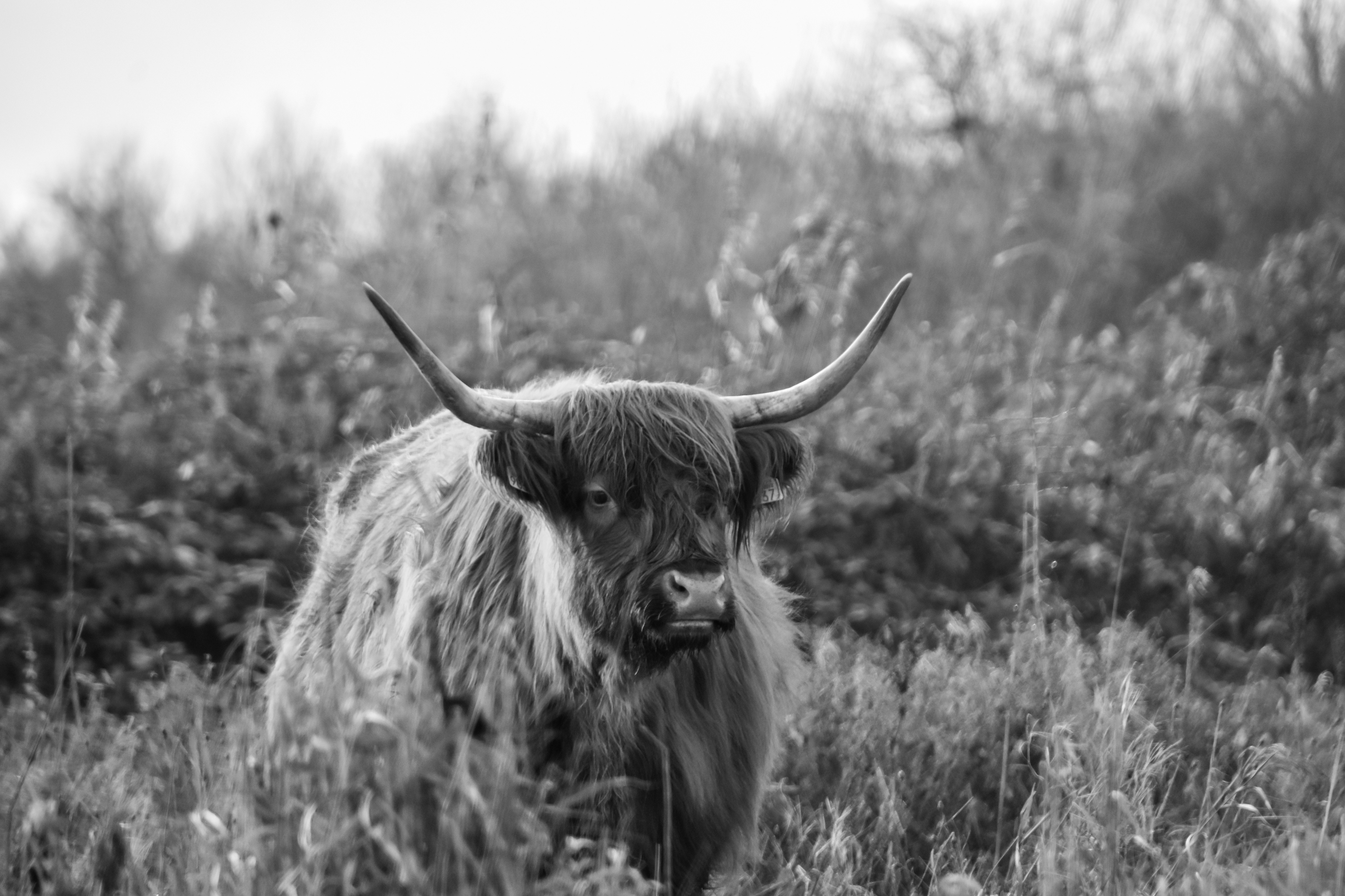 Photo by thebeautyofcapturing