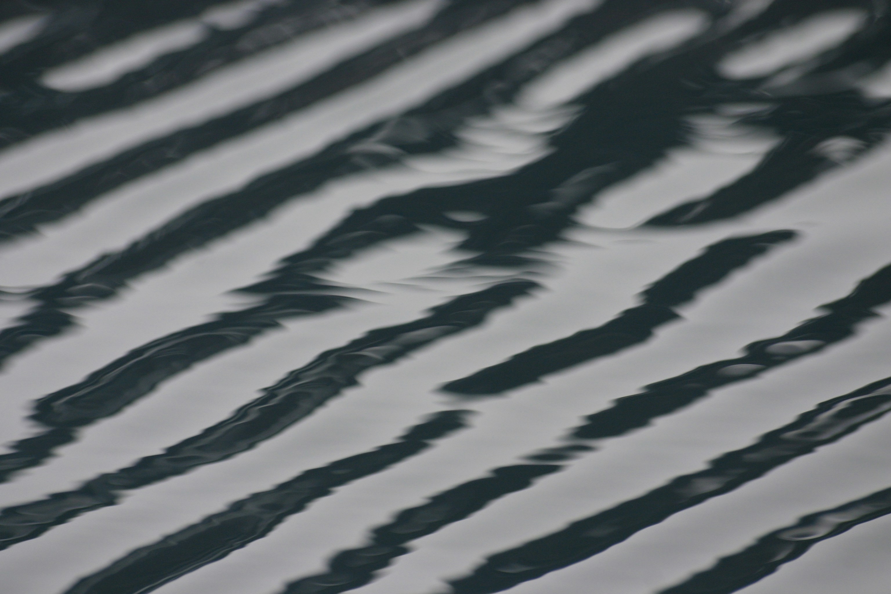 Photo by naja_bertolt_jensen