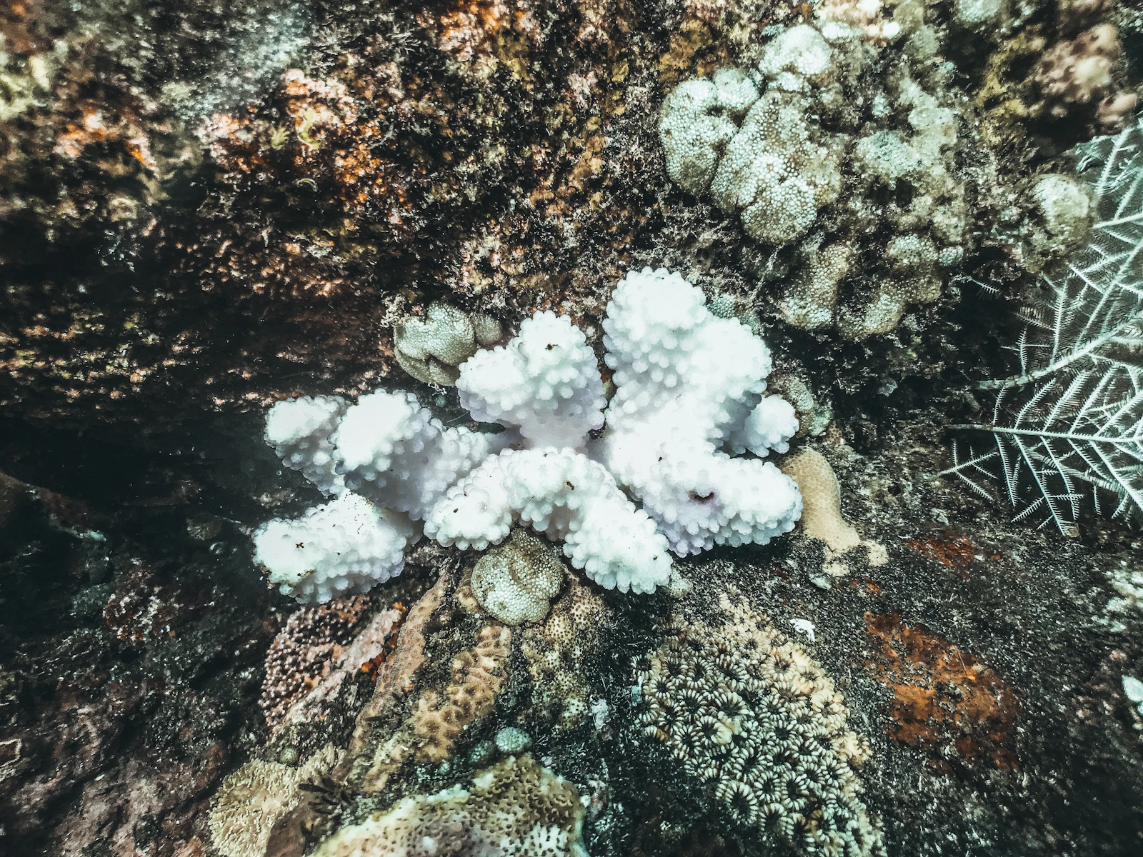 美麗風景背後