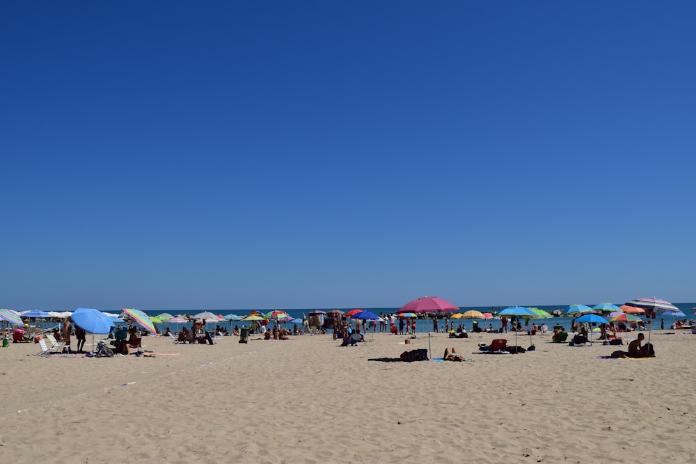 people on beach during daytime