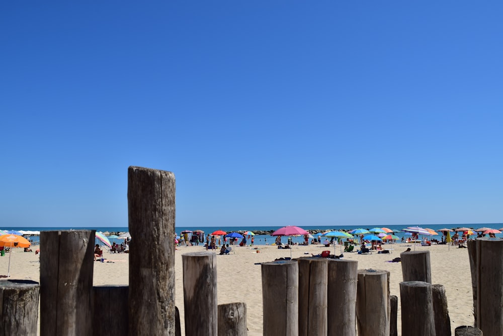 people on beach during daytime