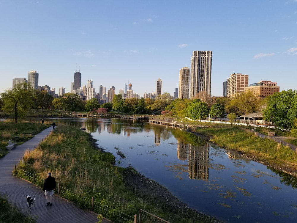 people walking on pathway near body of water during daytime