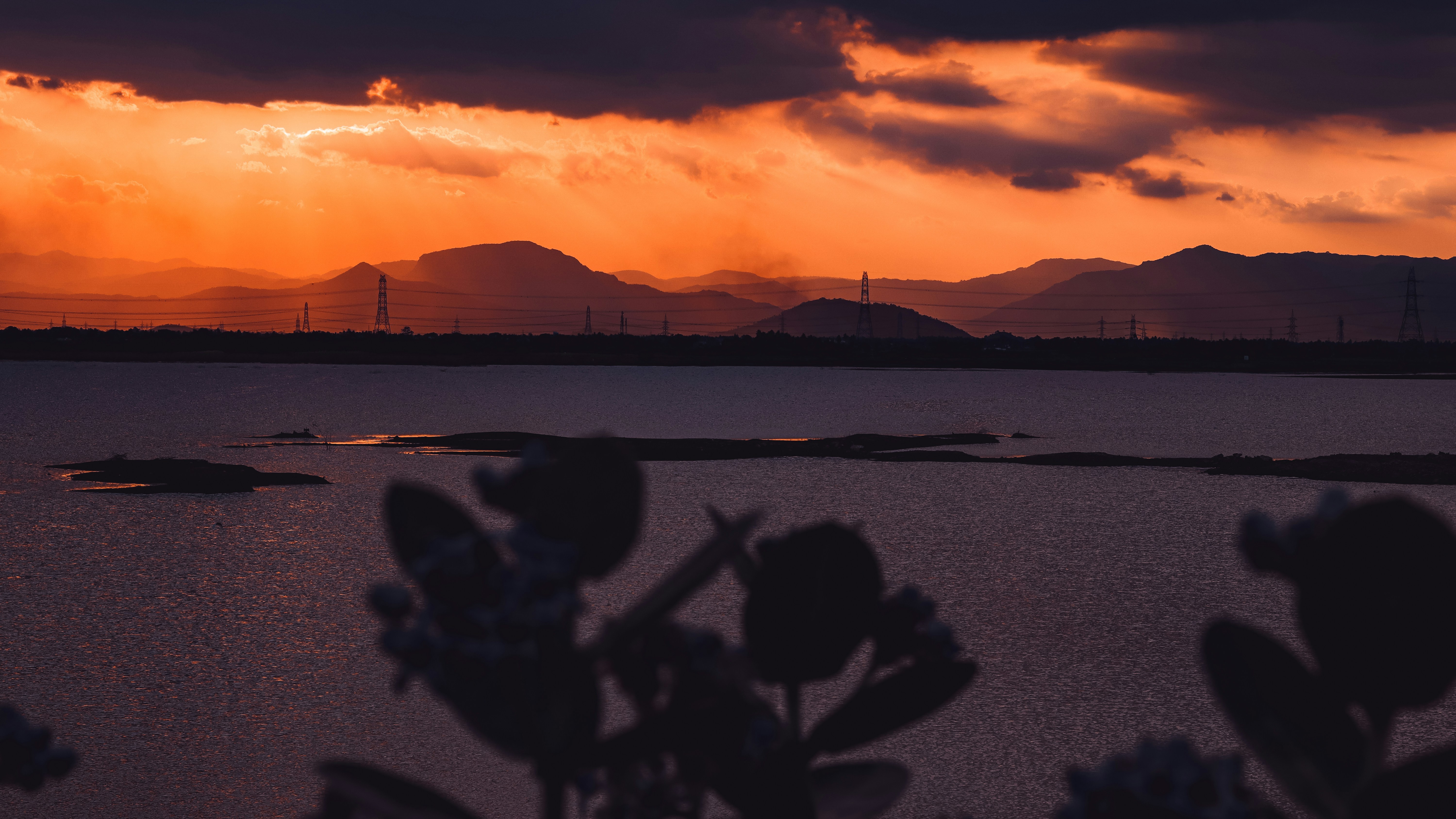 Photo by dhilipantony