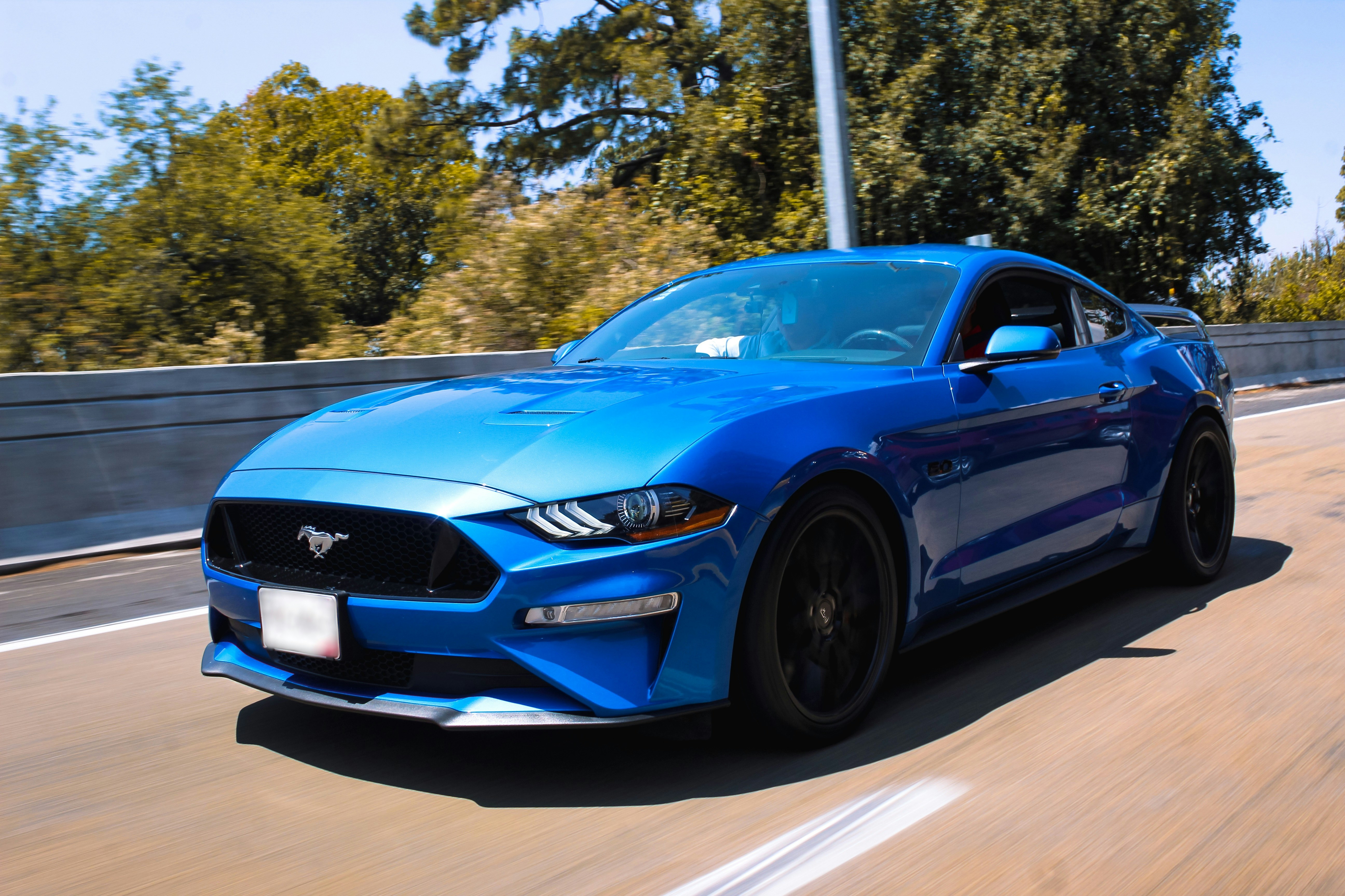 Photo by carlos210701