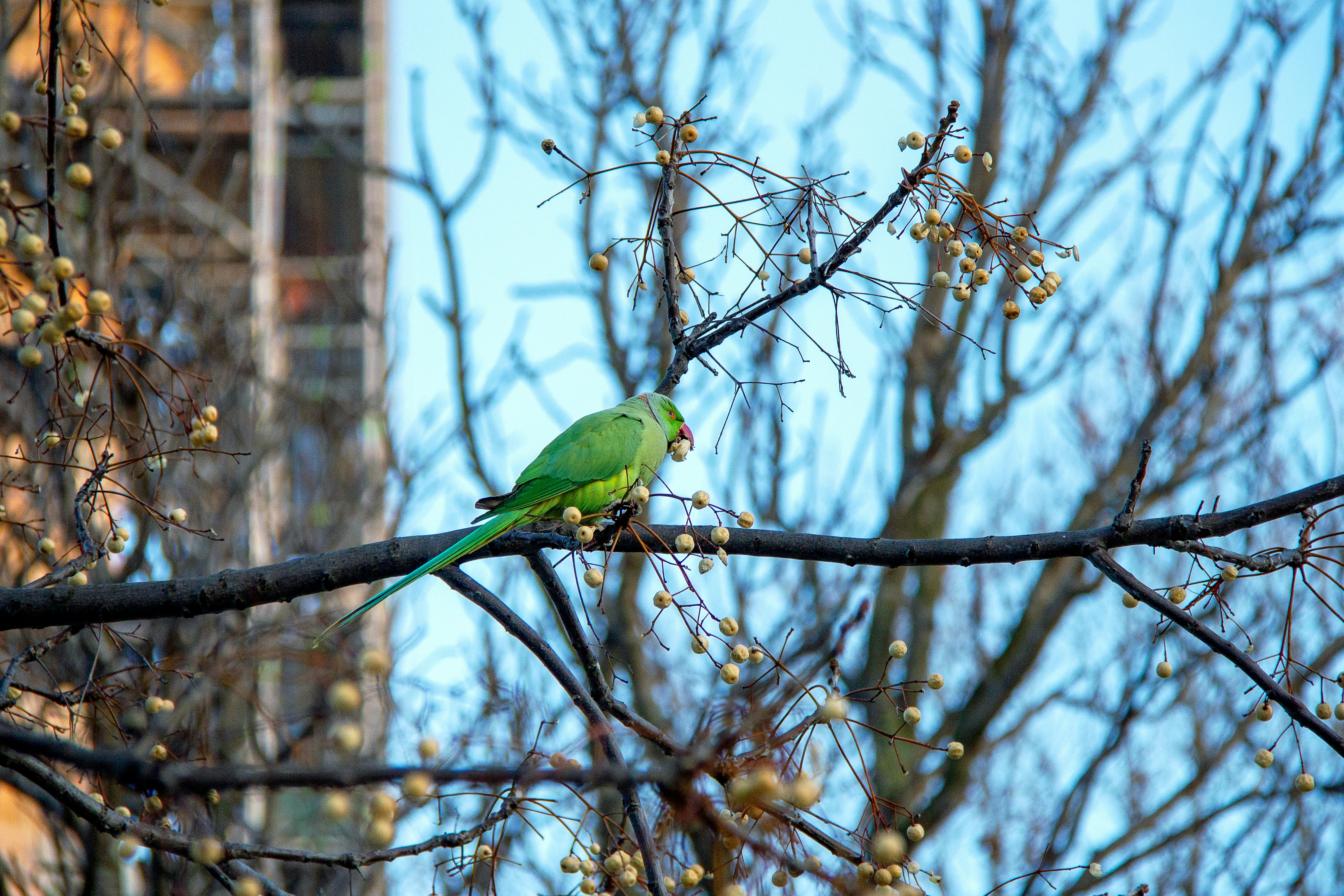 The Ripple Effect: How Farmer Markets Influence City Tourism