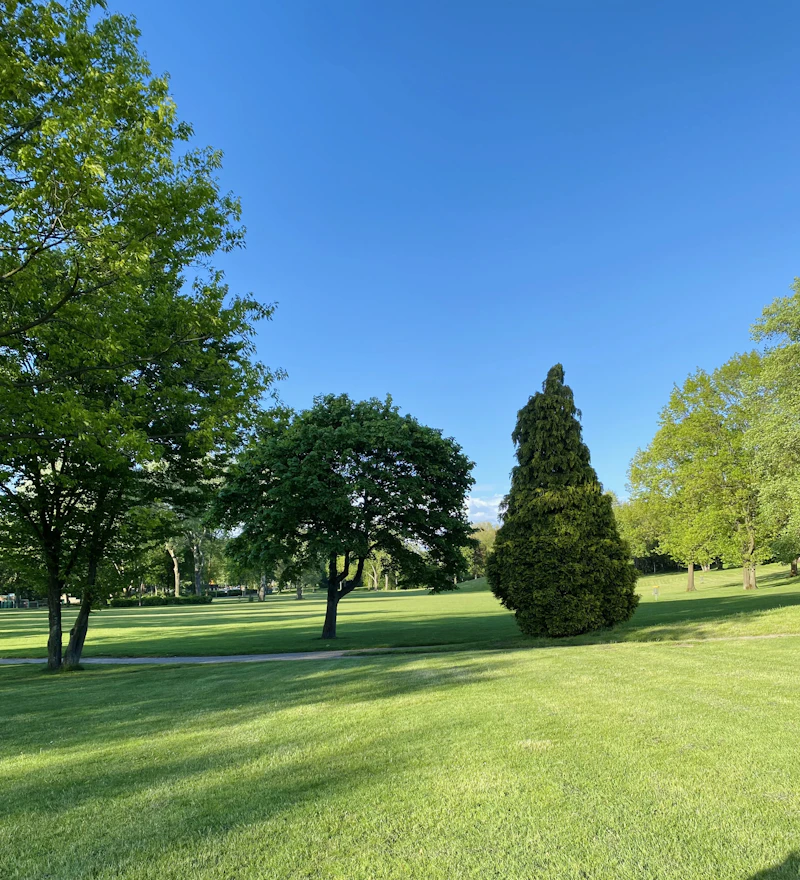 Park-like spring lawn with trees