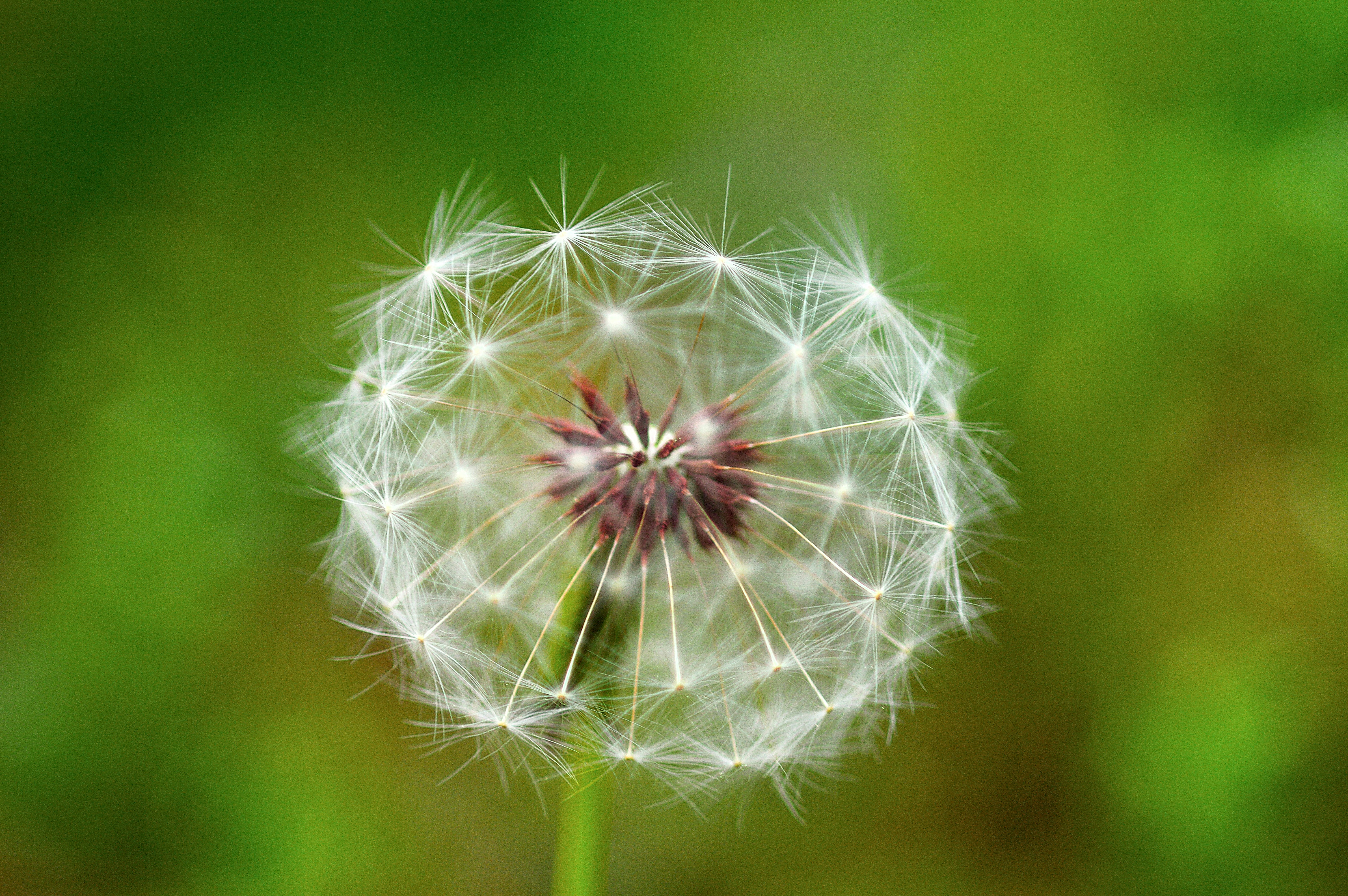 Photo by risingmoonphotos