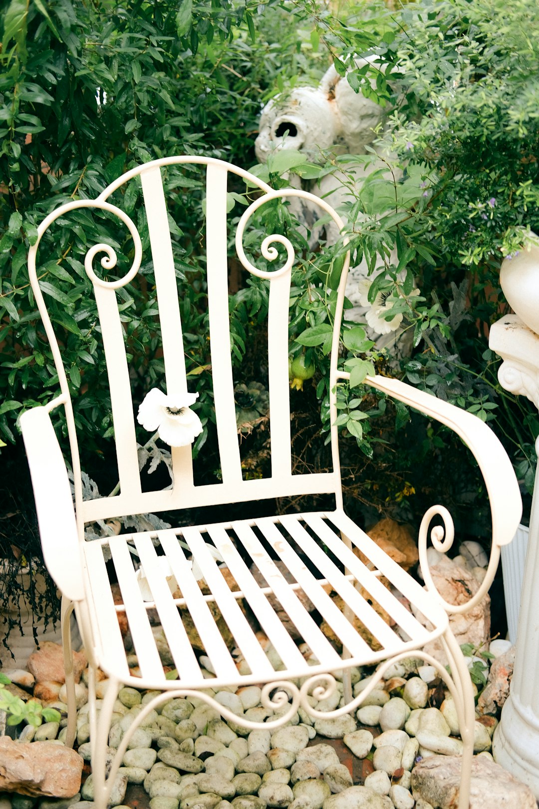 white wooden chair near green plant