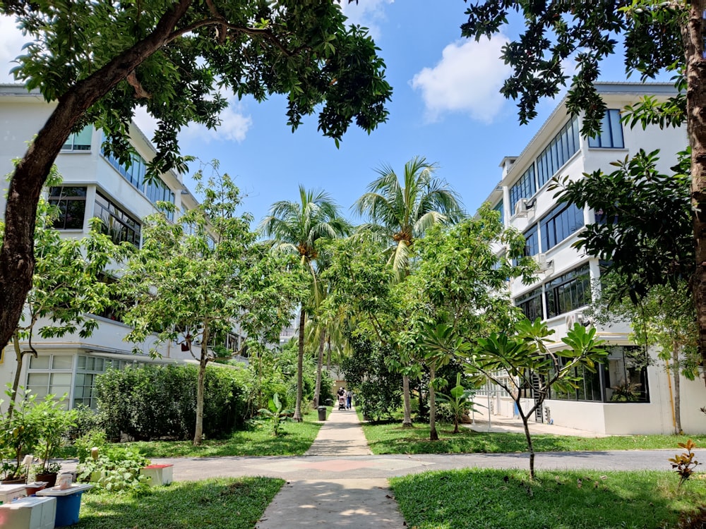 green trees near white concrete building during daytime