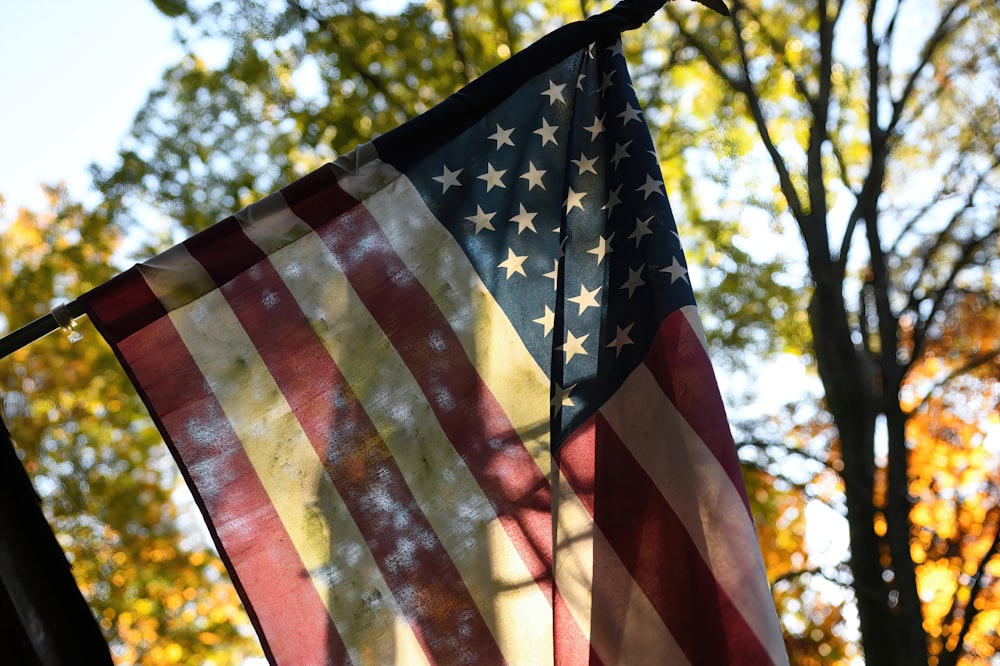 us a flag on tree